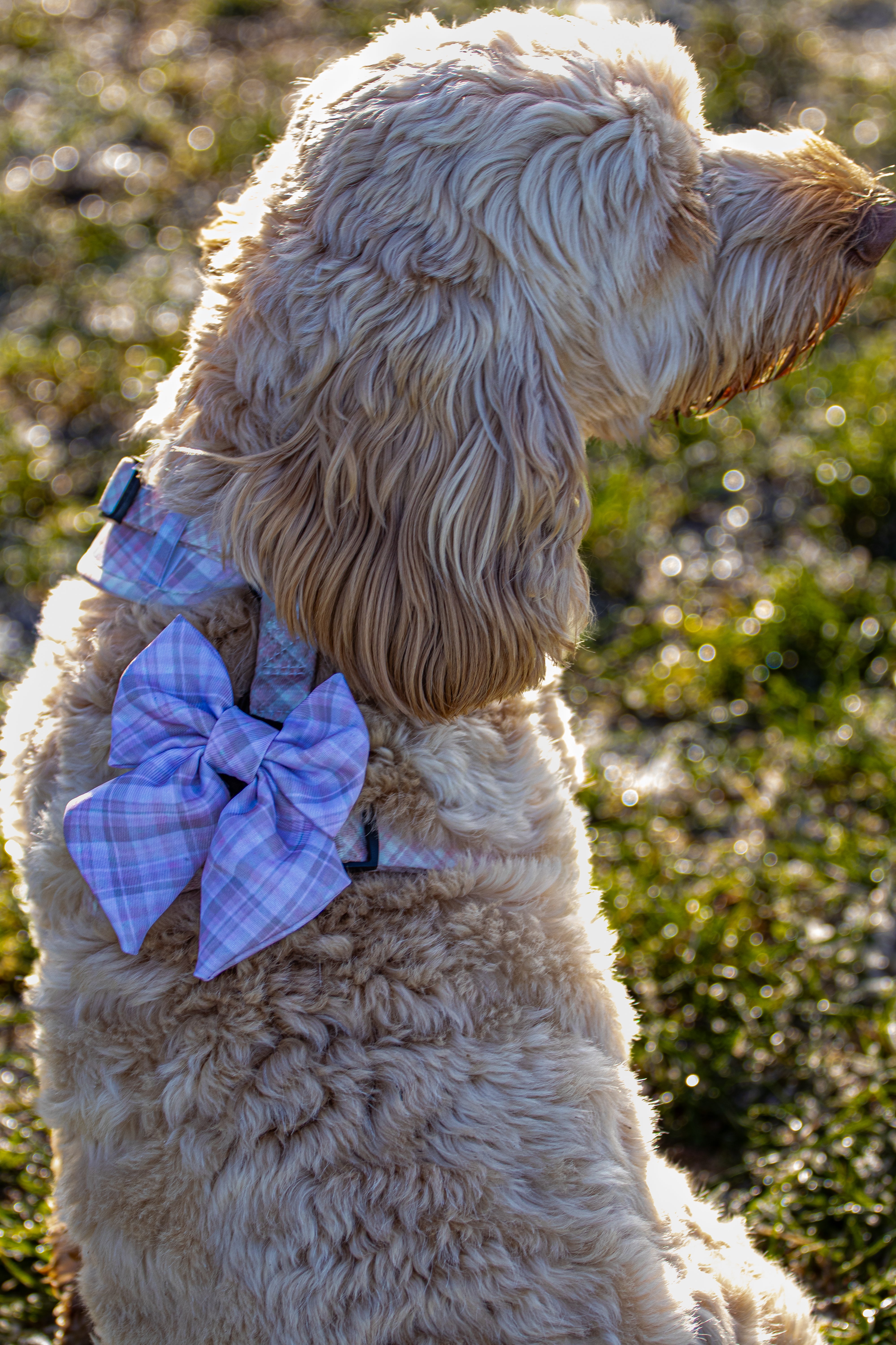 🎀 Pretty In Plaid 🎀