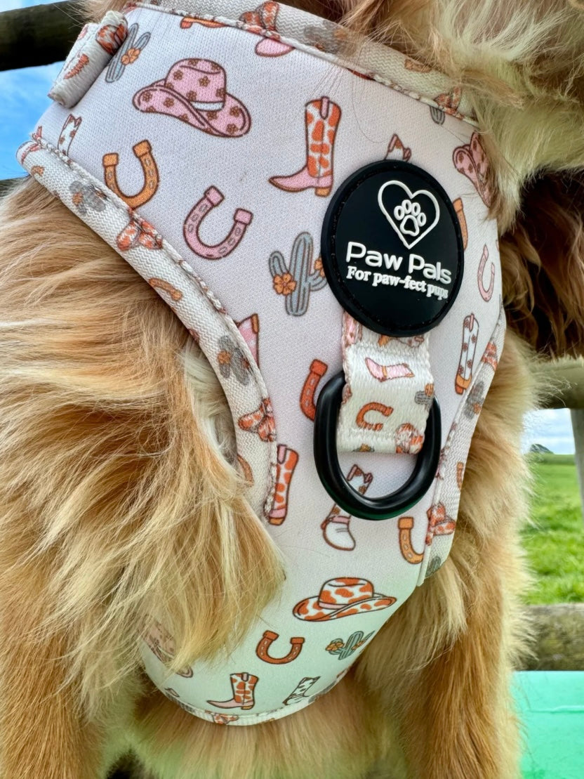 🤠 Saddle Up Pup 🤠