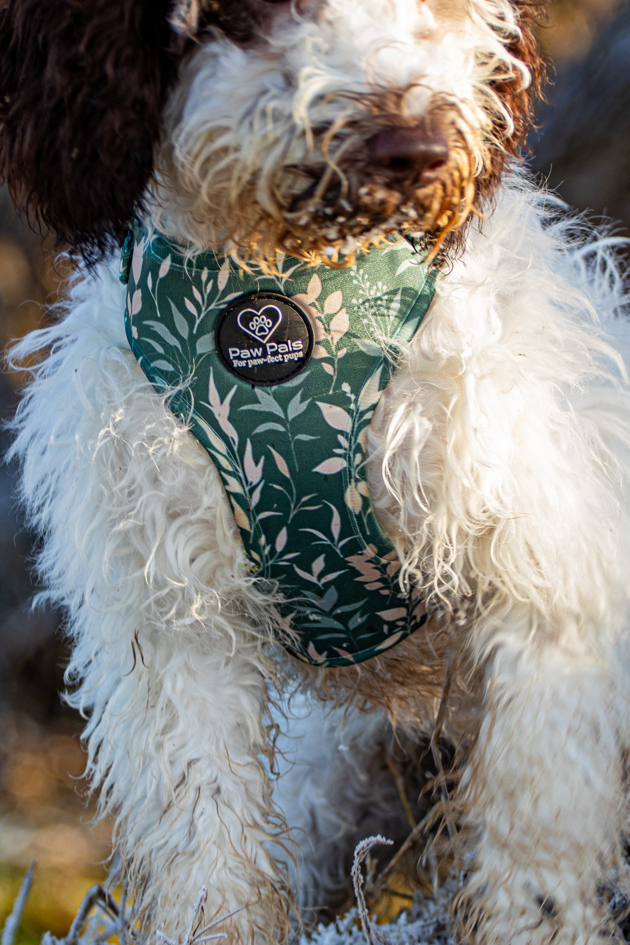 Spring Leaves Harness