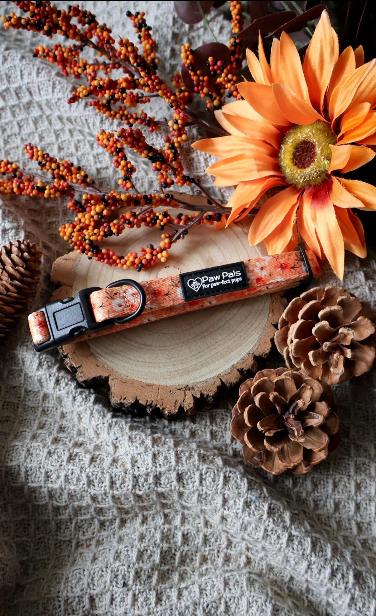 Maple Meadows Collar