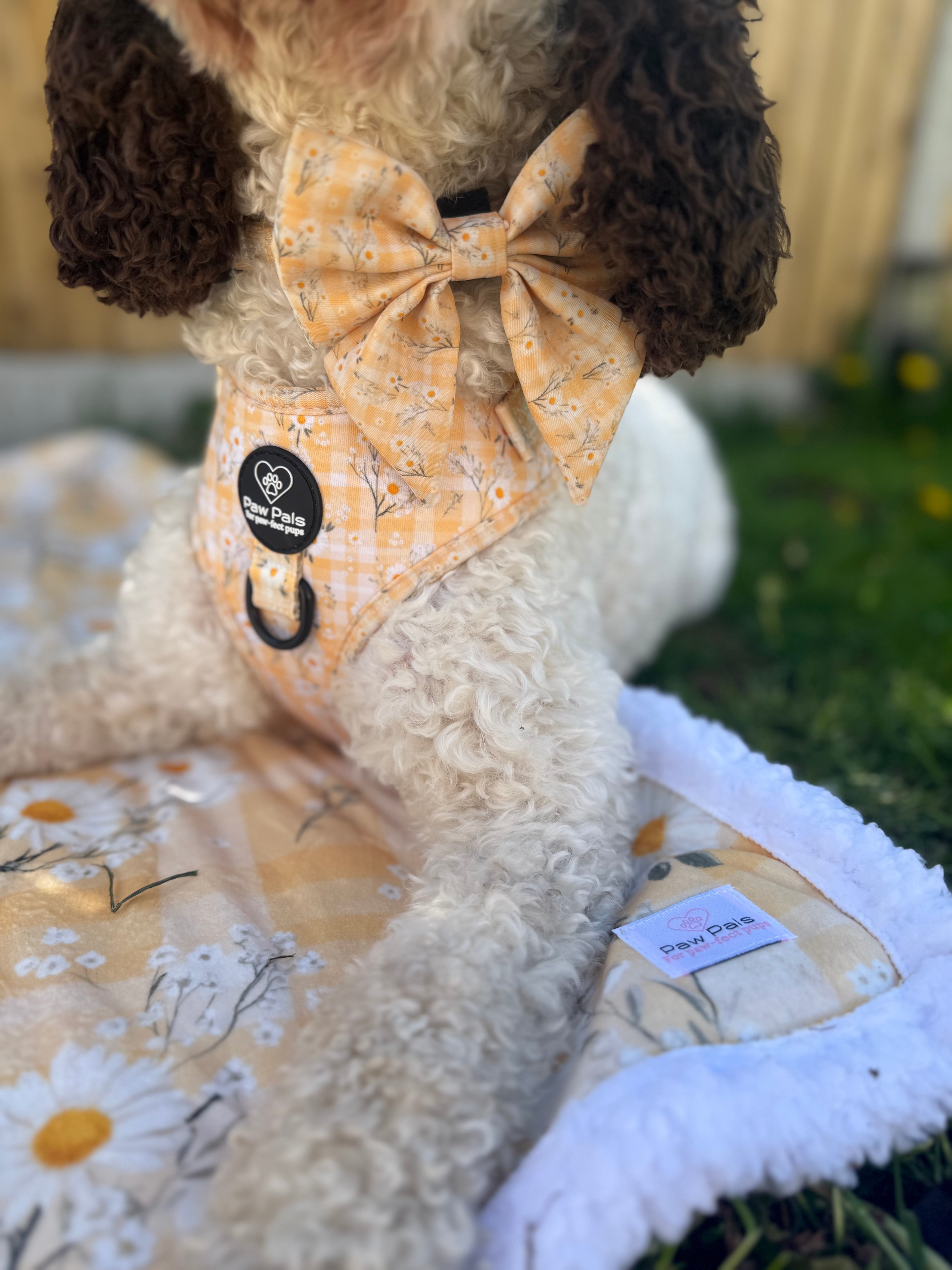 Daisy Dreams Blanket