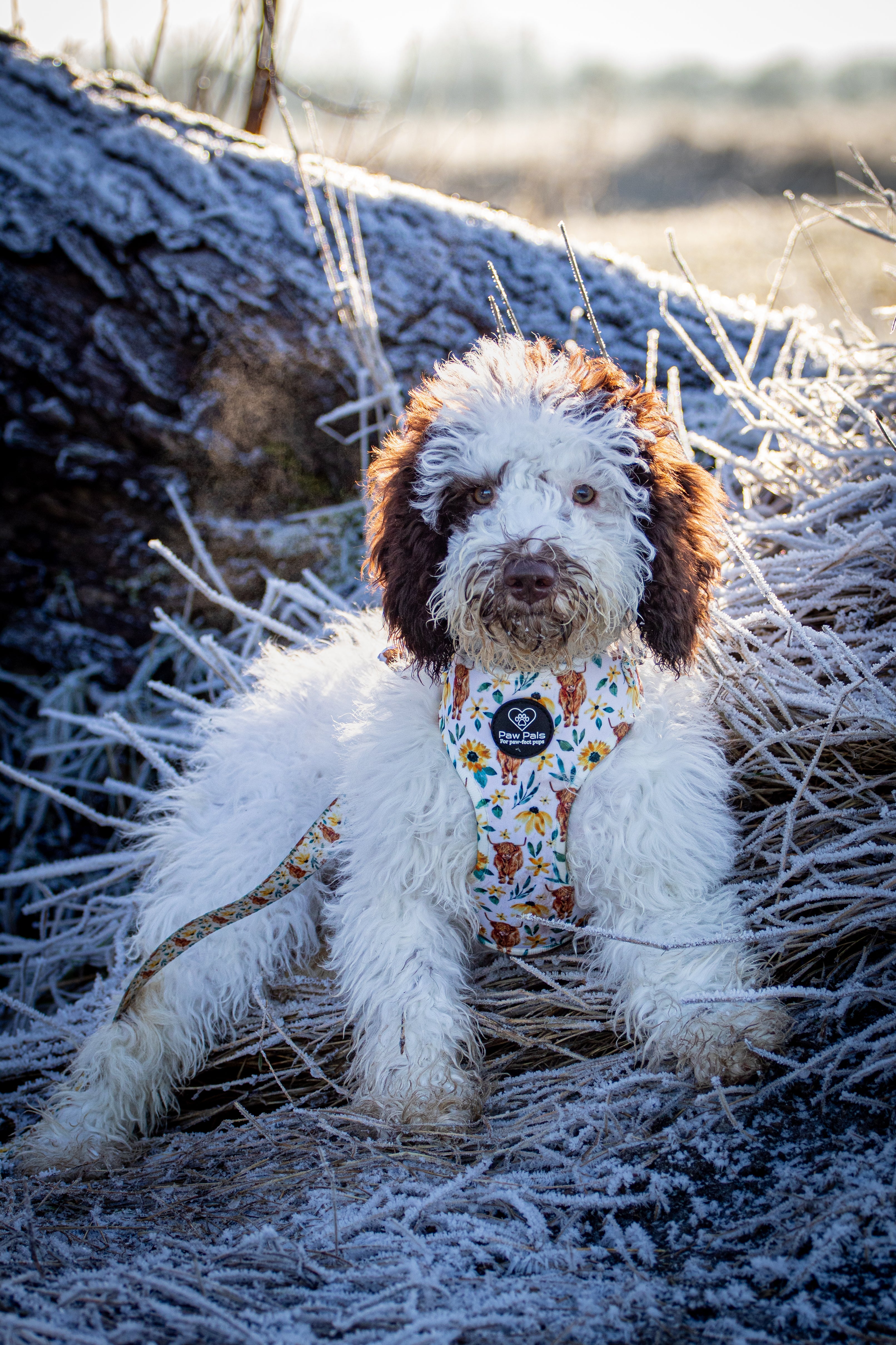 Something Moo Harness