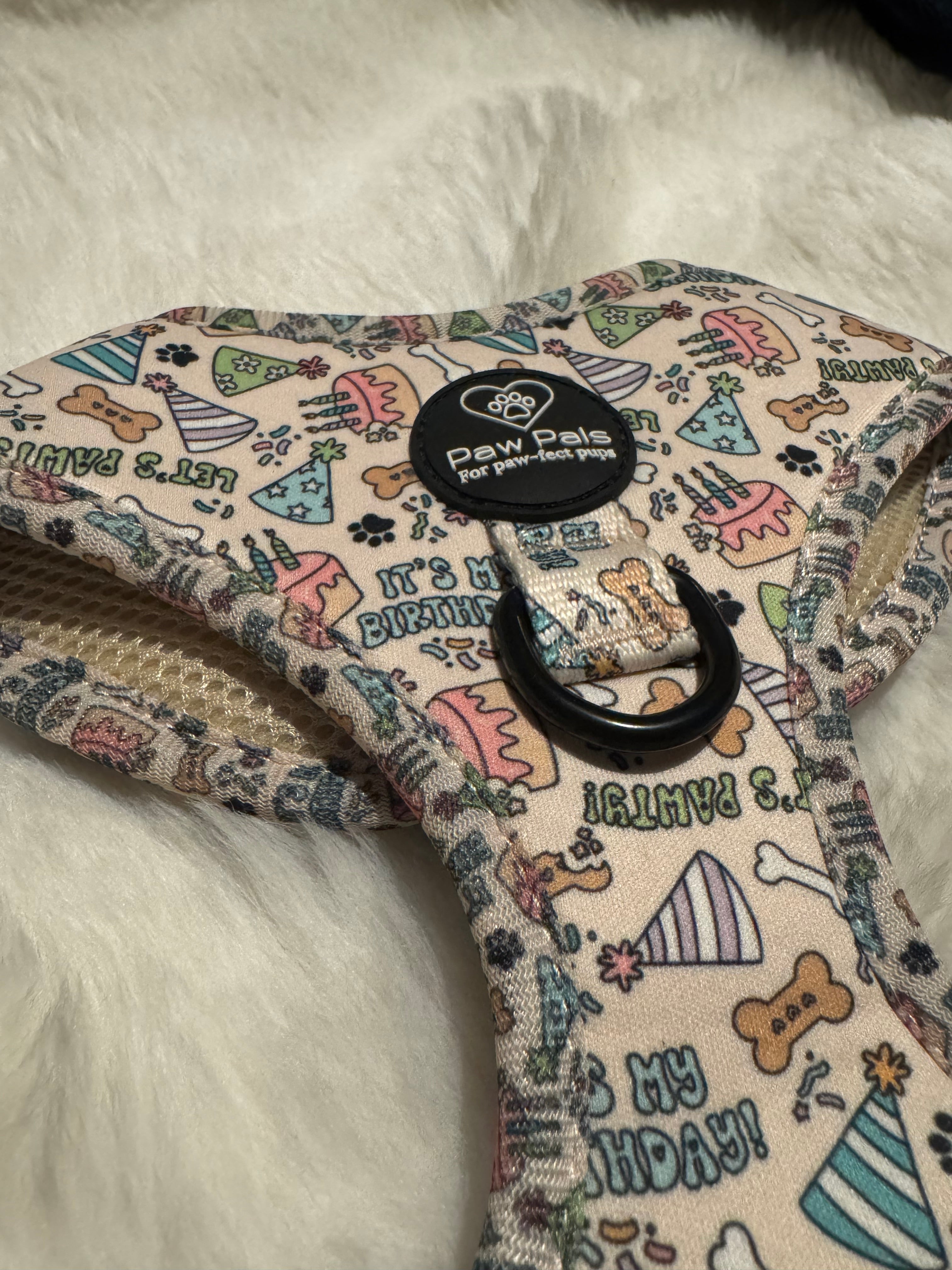 Birthday Pup Harness