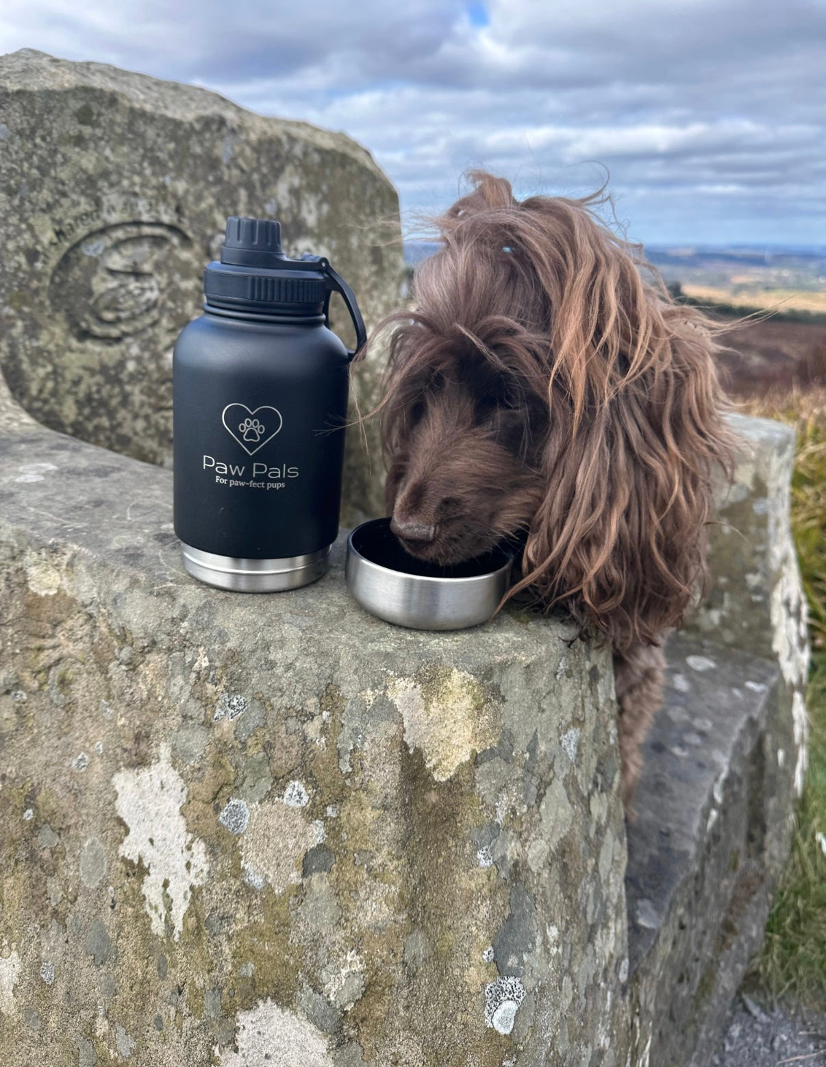 Black Walkies Bottle