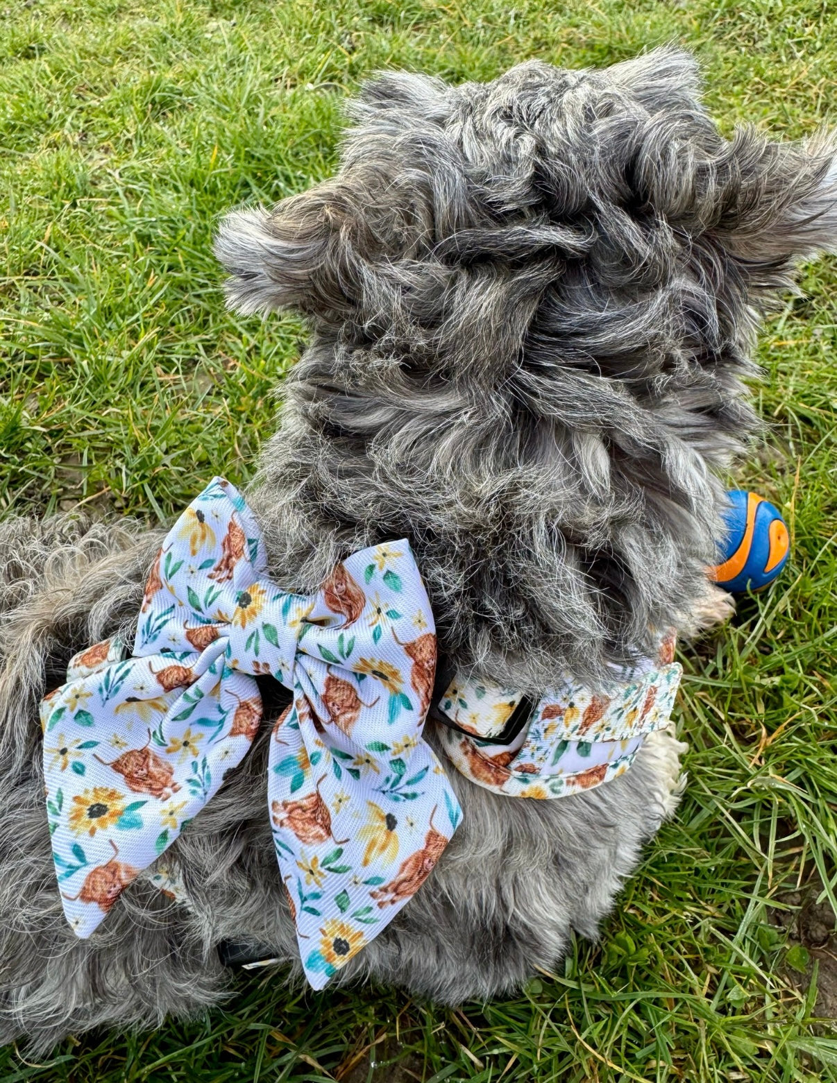 Something Moo Sailor Bow