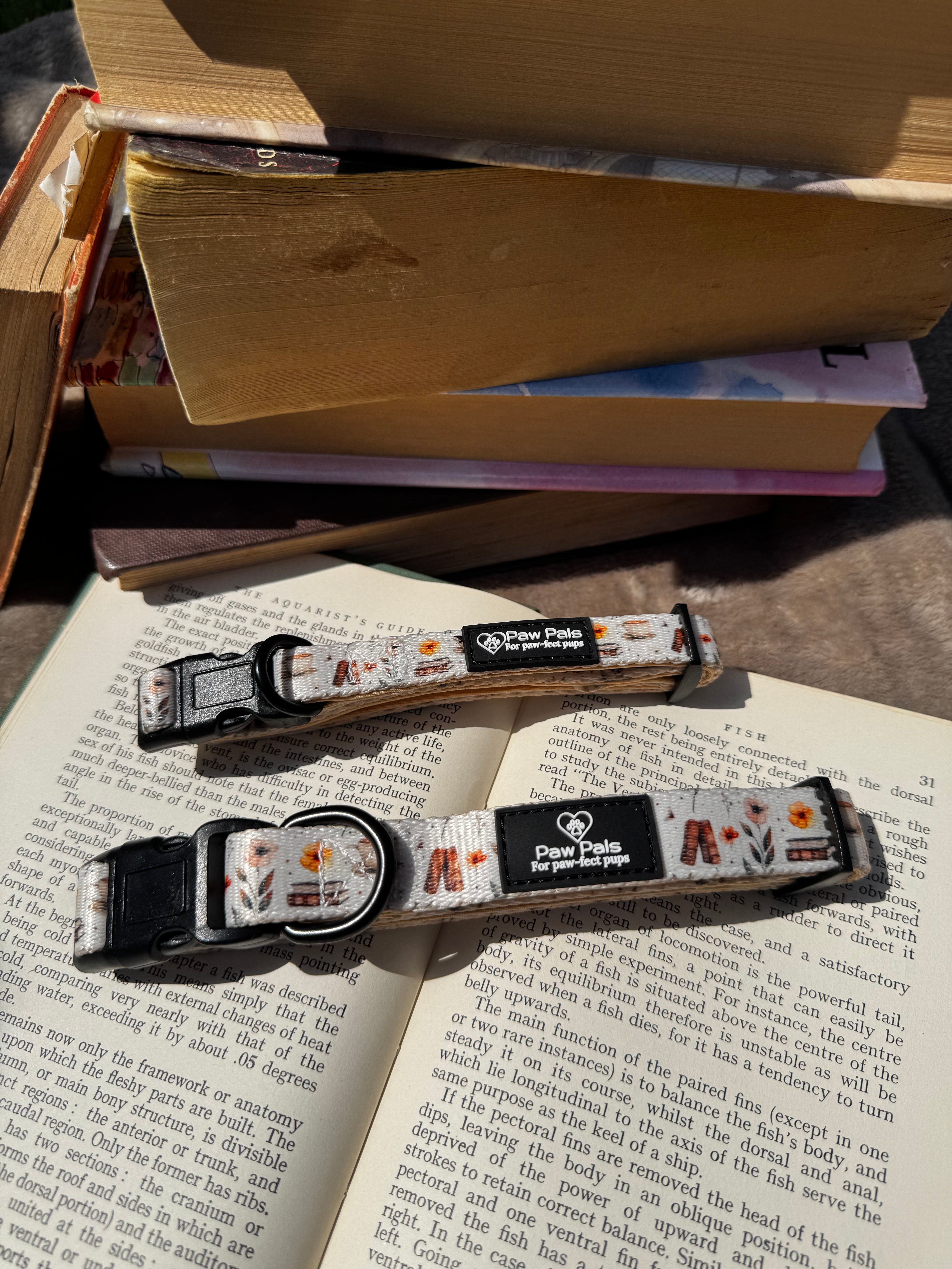 Coffee & Pup Club Collar