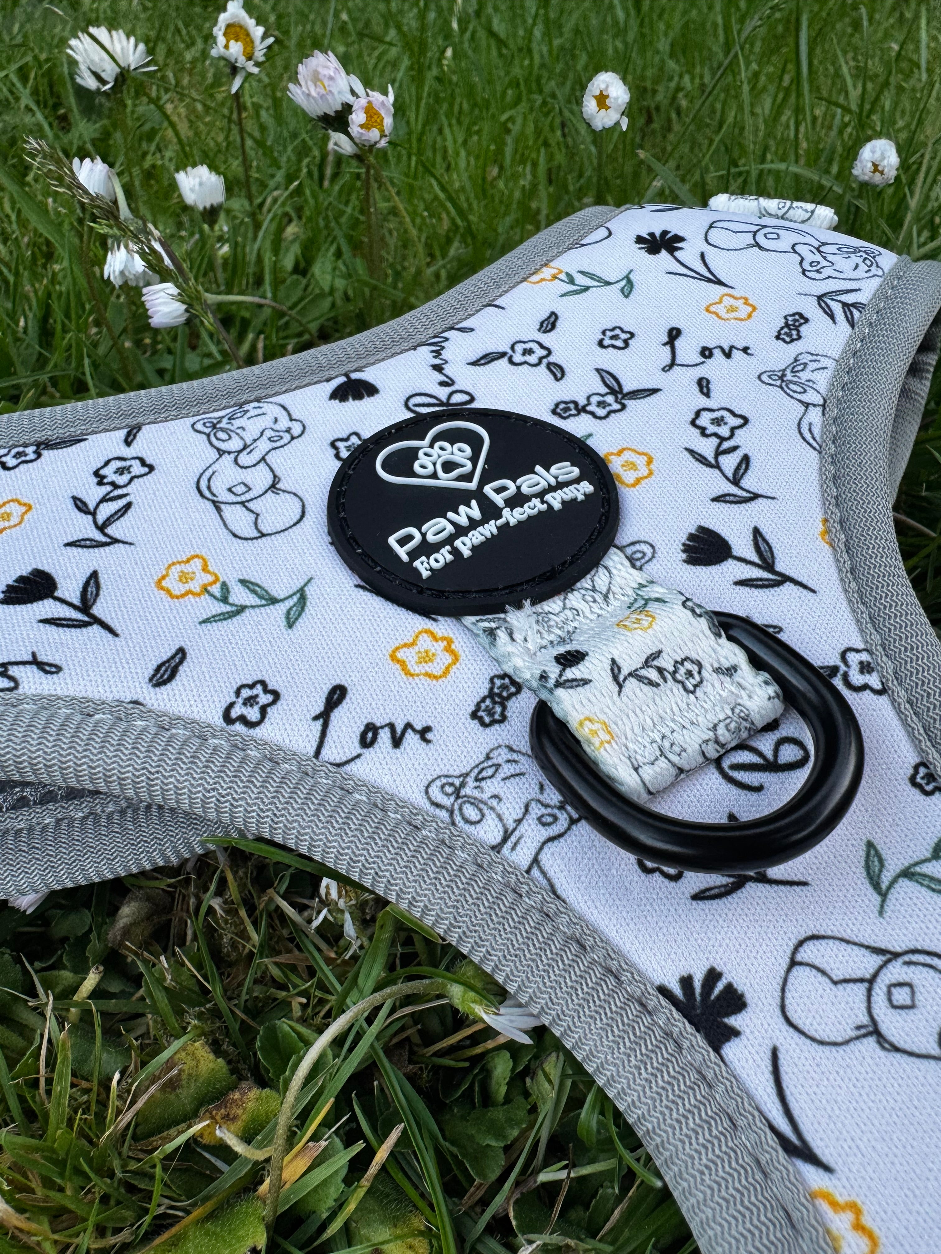 Tatty Teddy Springs Harness