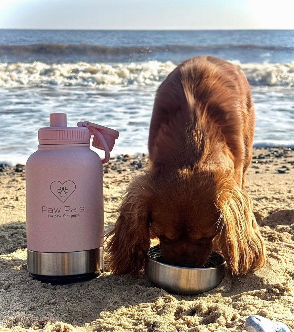 Pink Walkies Bottle
