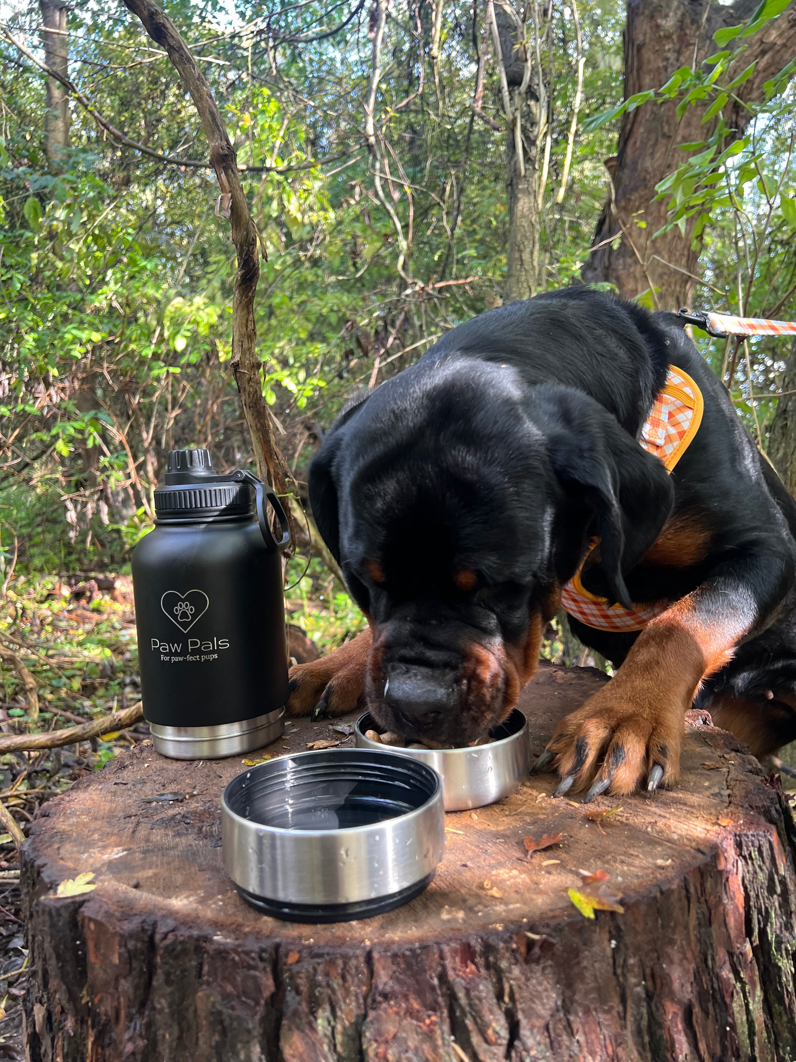 Black Walkies Bottle