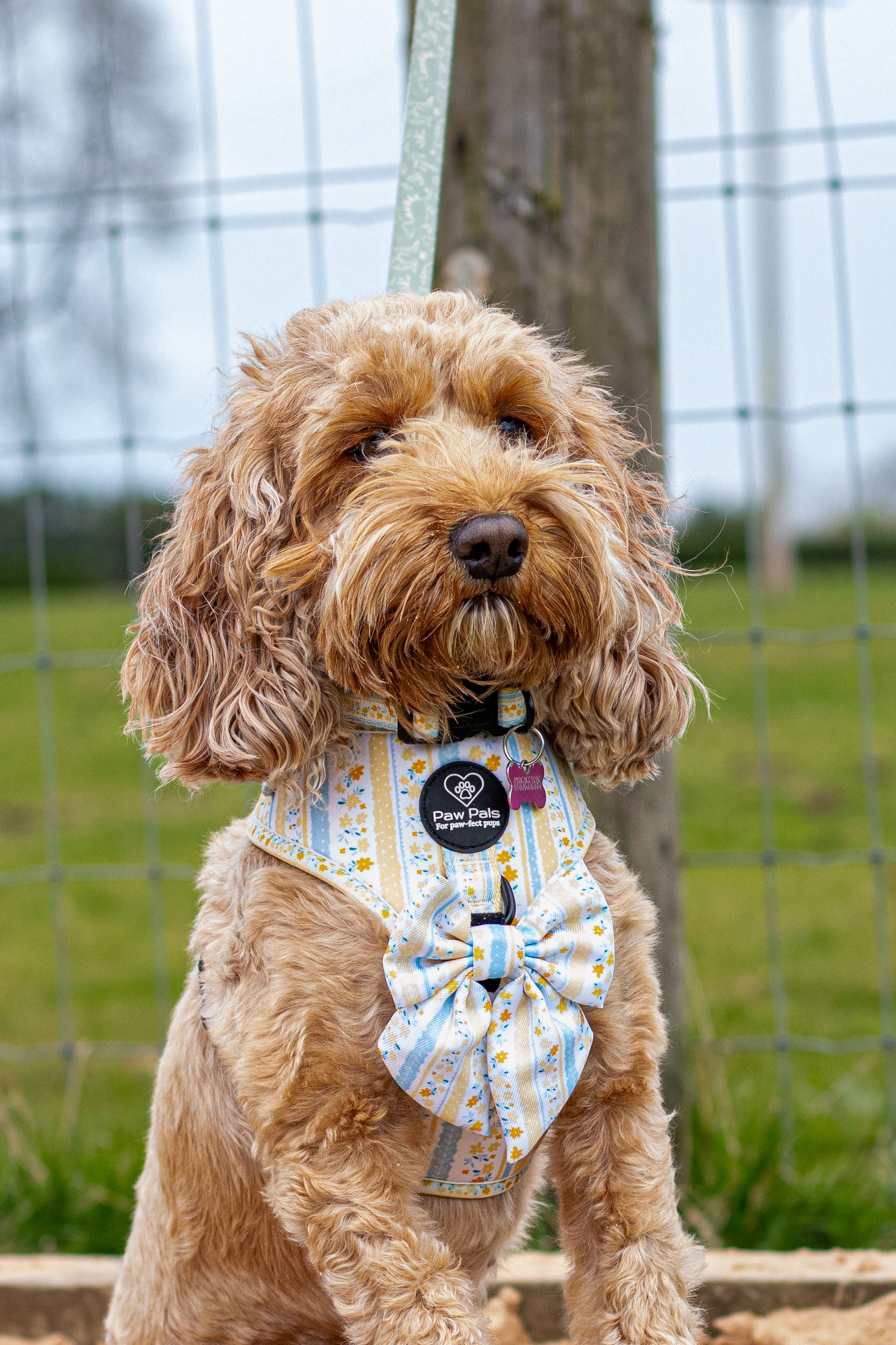 Buttercup Baby Premium Sailor Bow