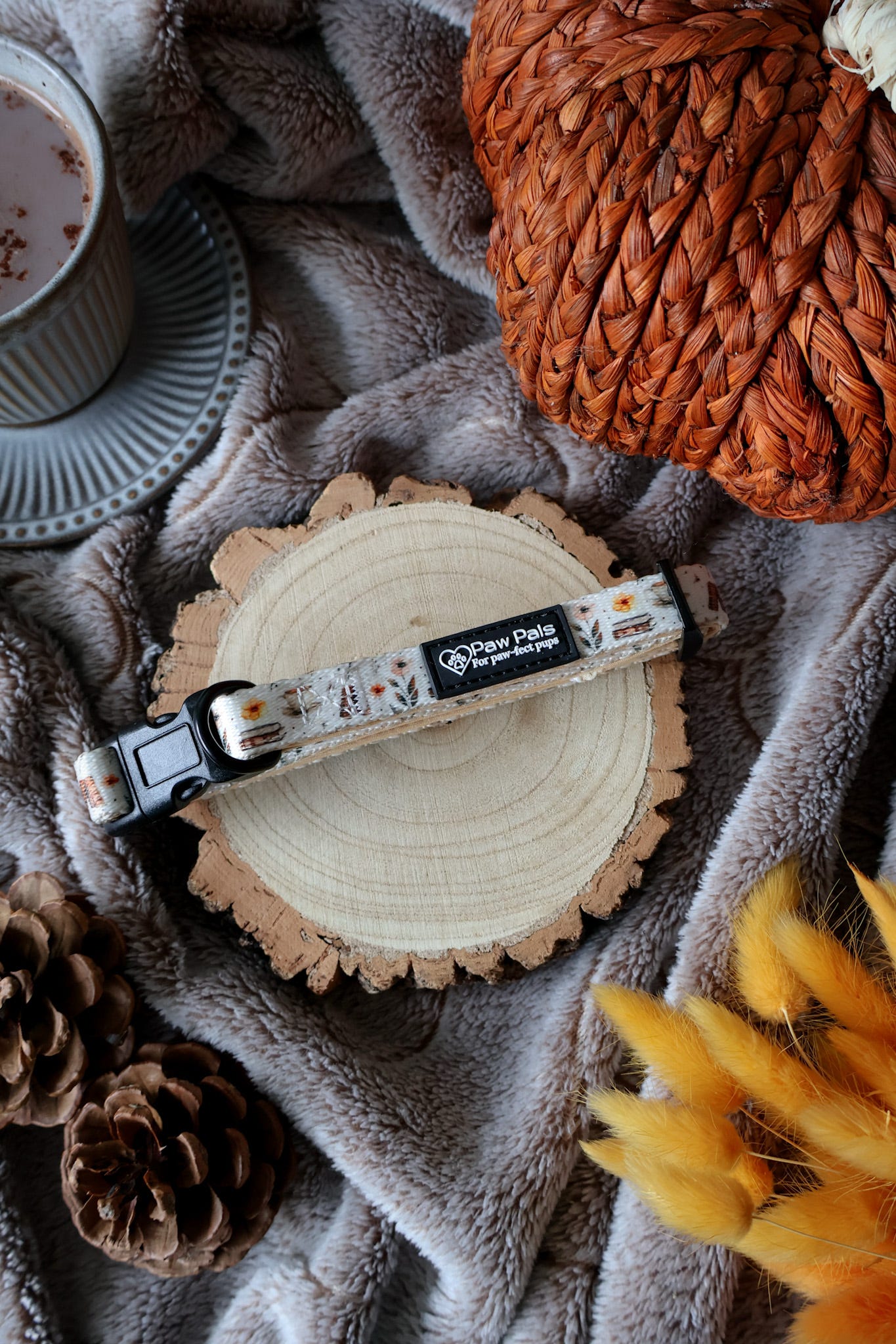 Coffee & Pup Club Collar