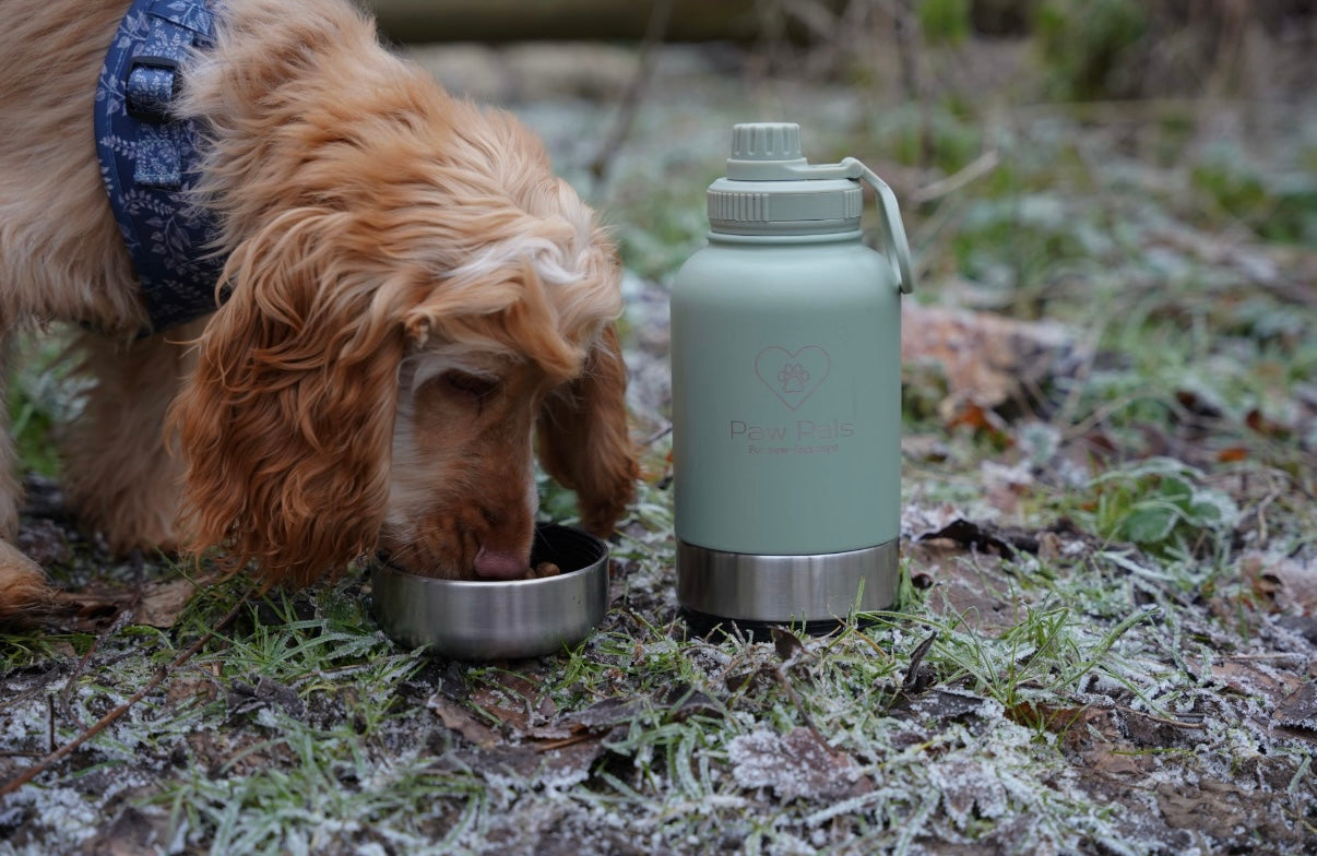 Sage Green Walkies Bottle