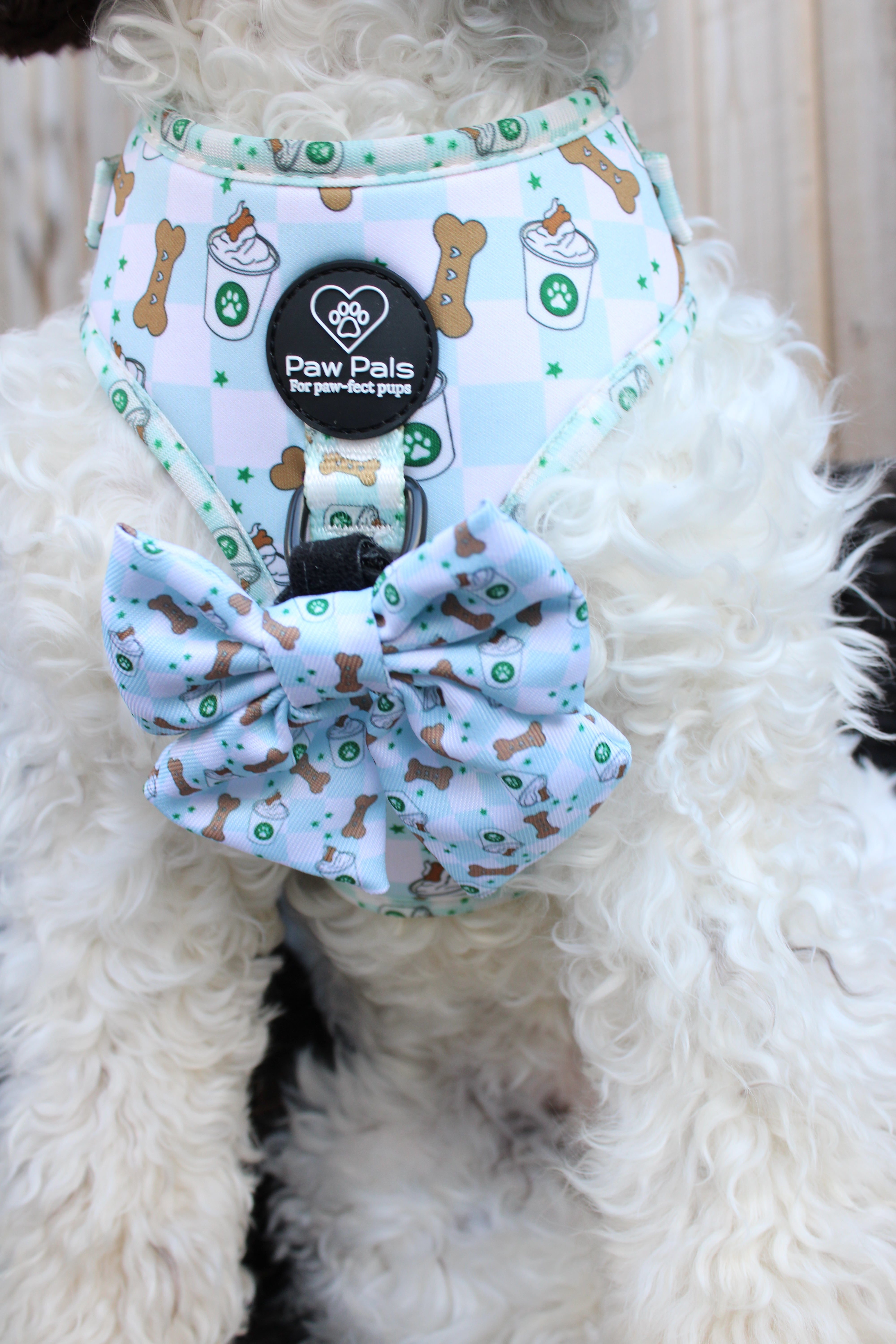 Puppuccino Please Bow