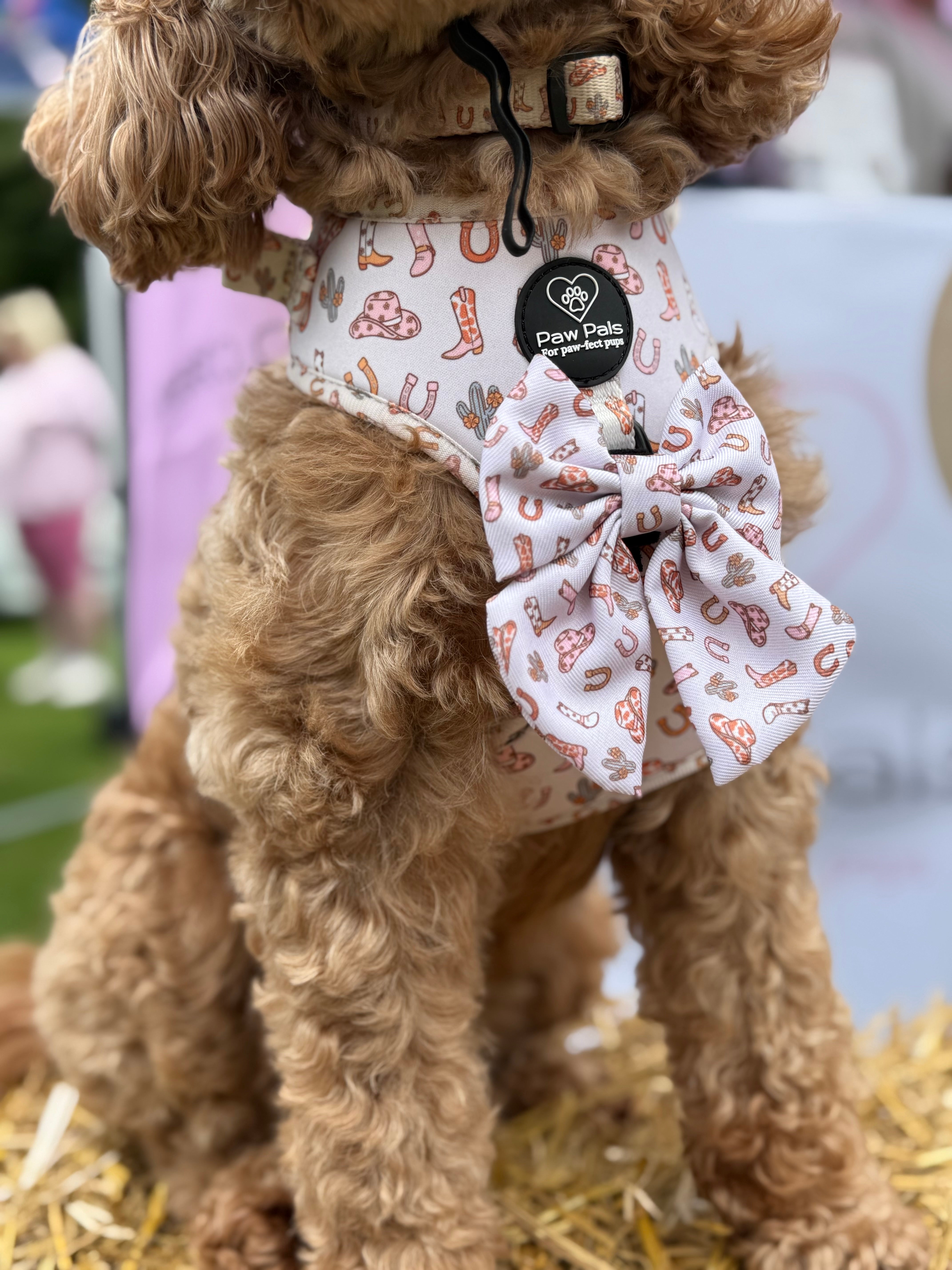 Saddle up Pup Harness