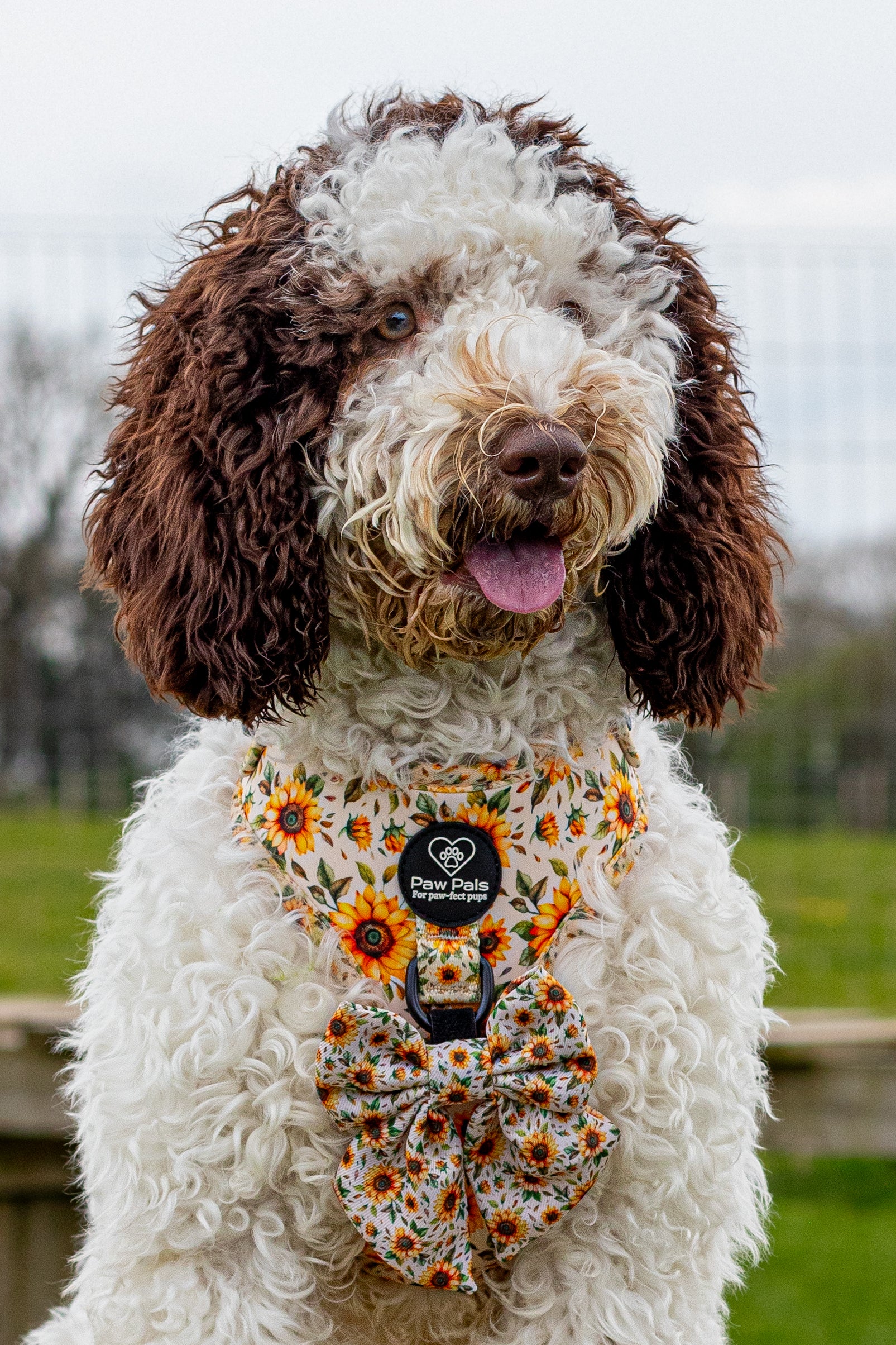 You’re My Sunflower Harness