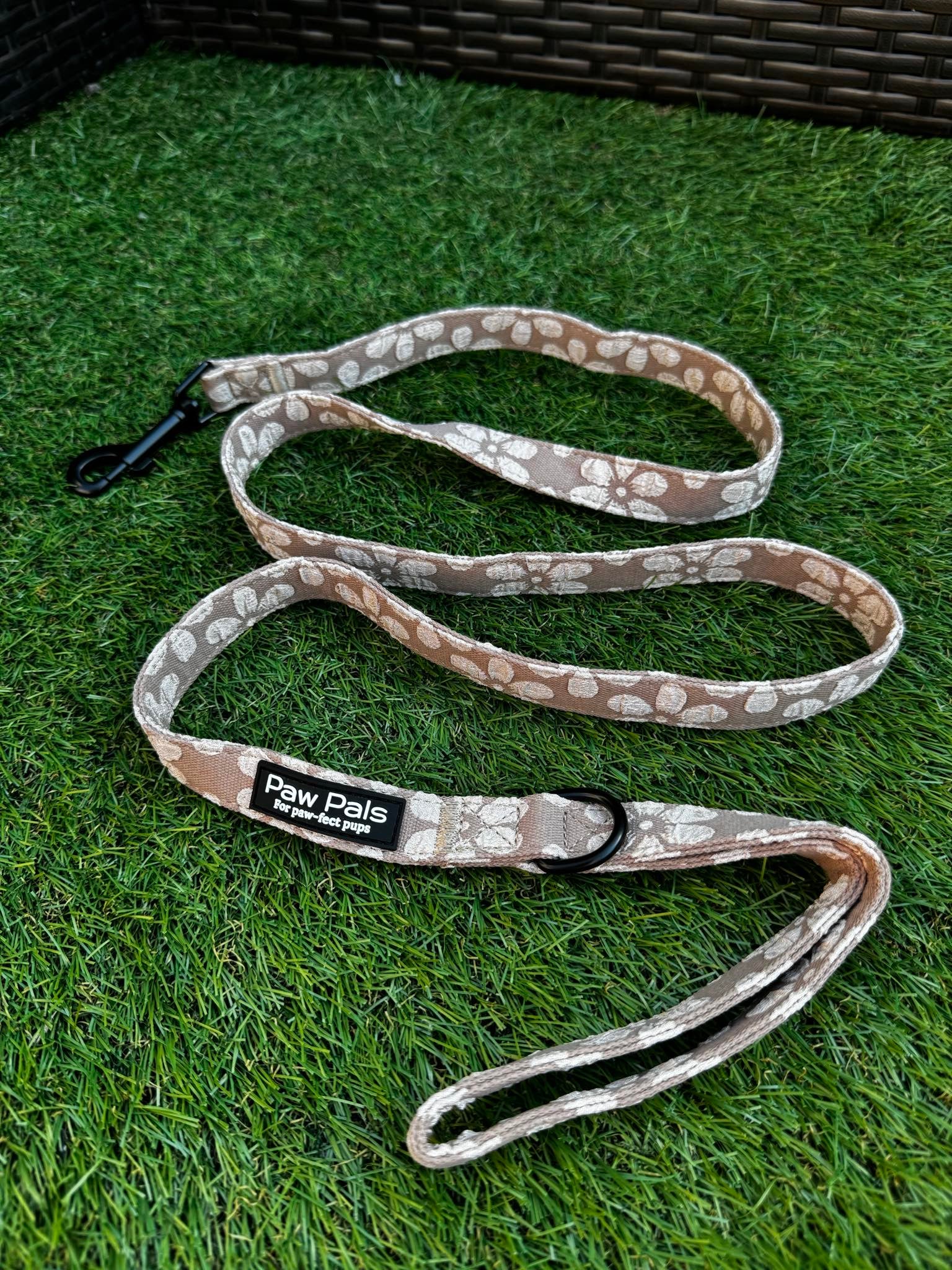 Love You A Latte Leash