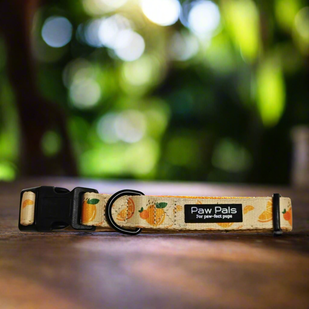 Feeling Juicy Collar