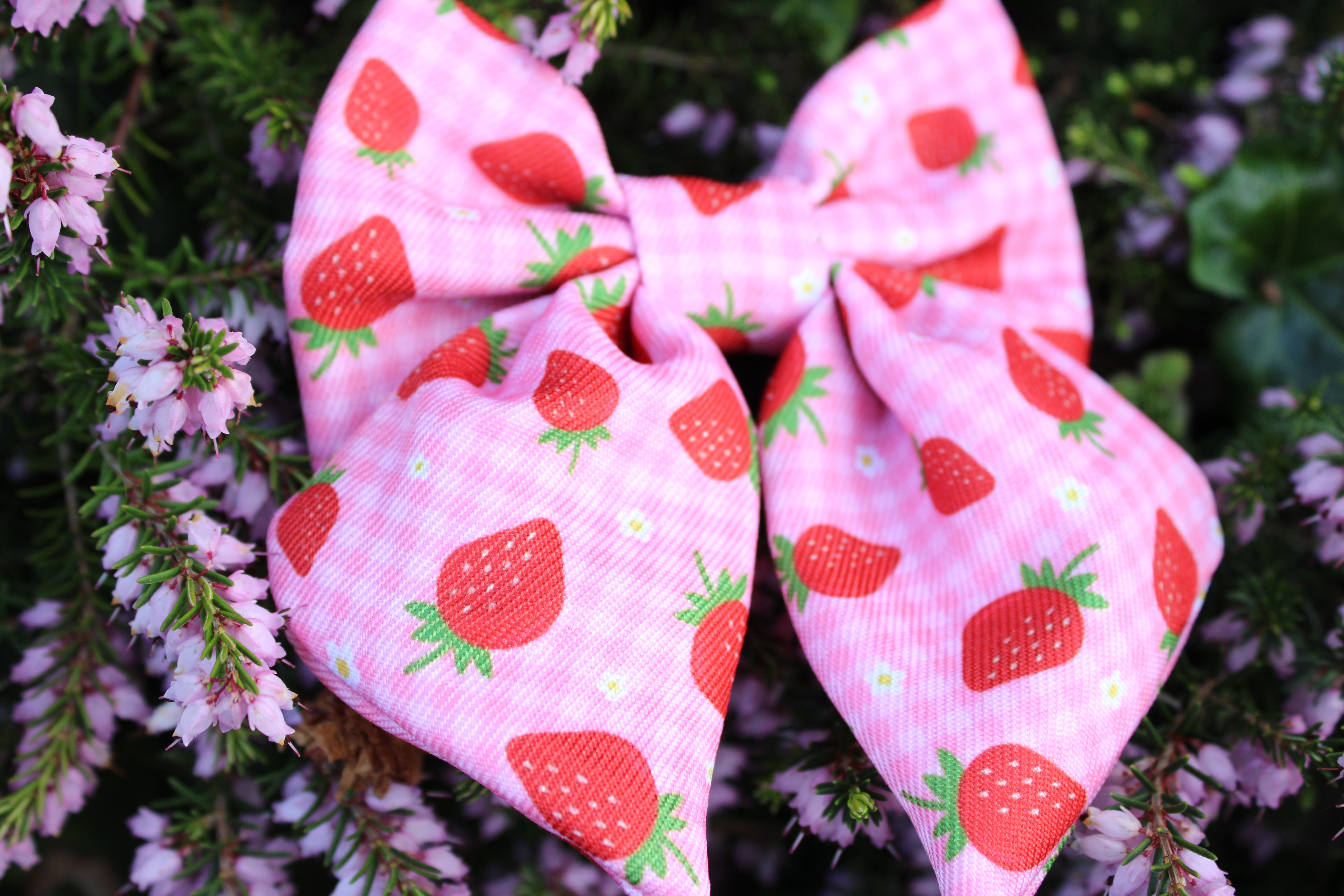 Strawberry Dreams Sailor Bow