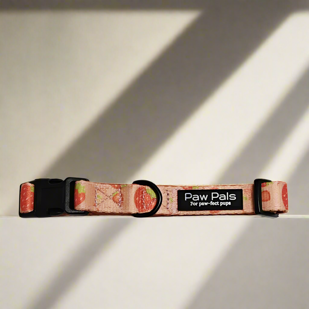 Strawberry Delight Collar