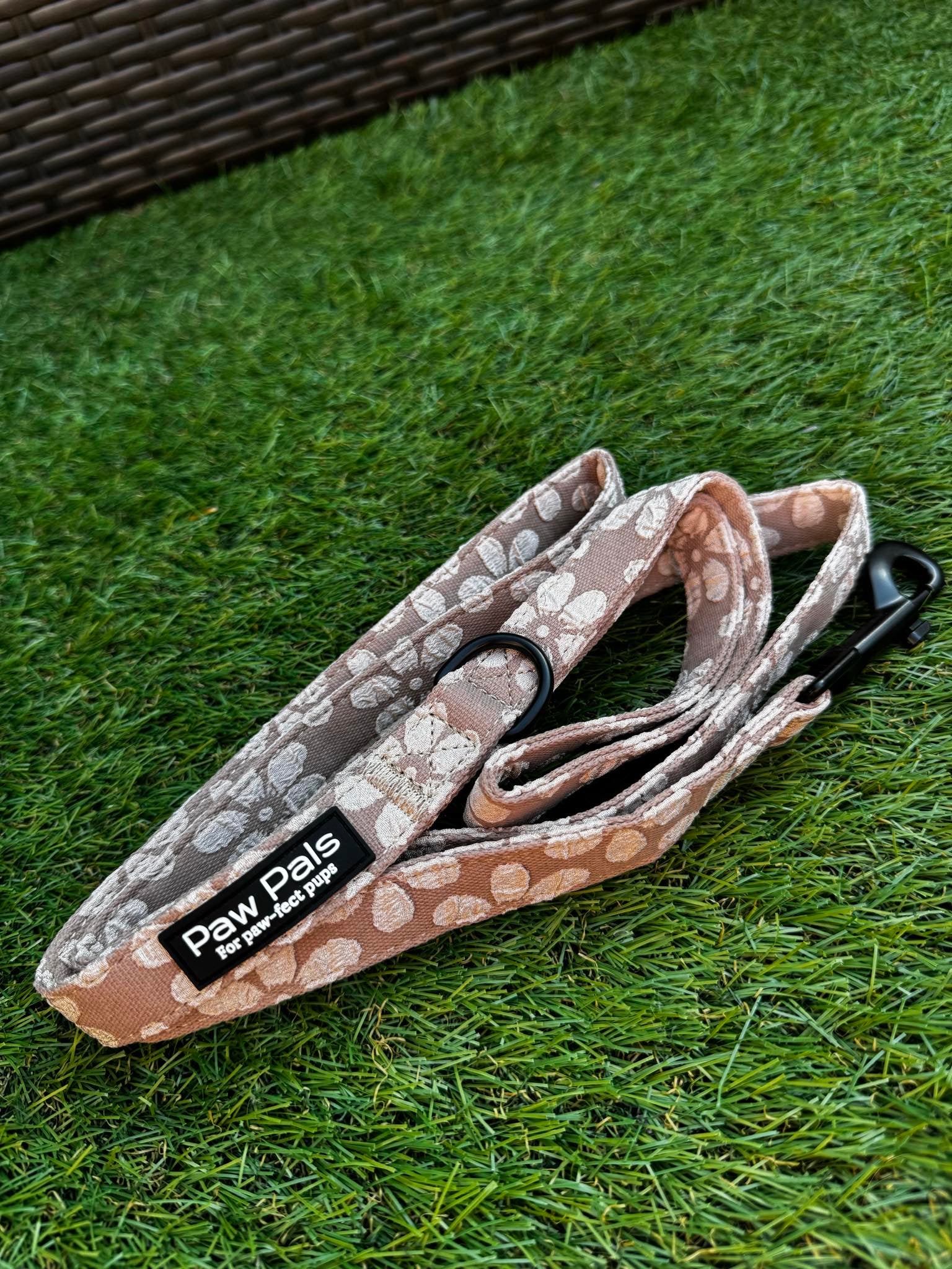 Love You A Latte Leash