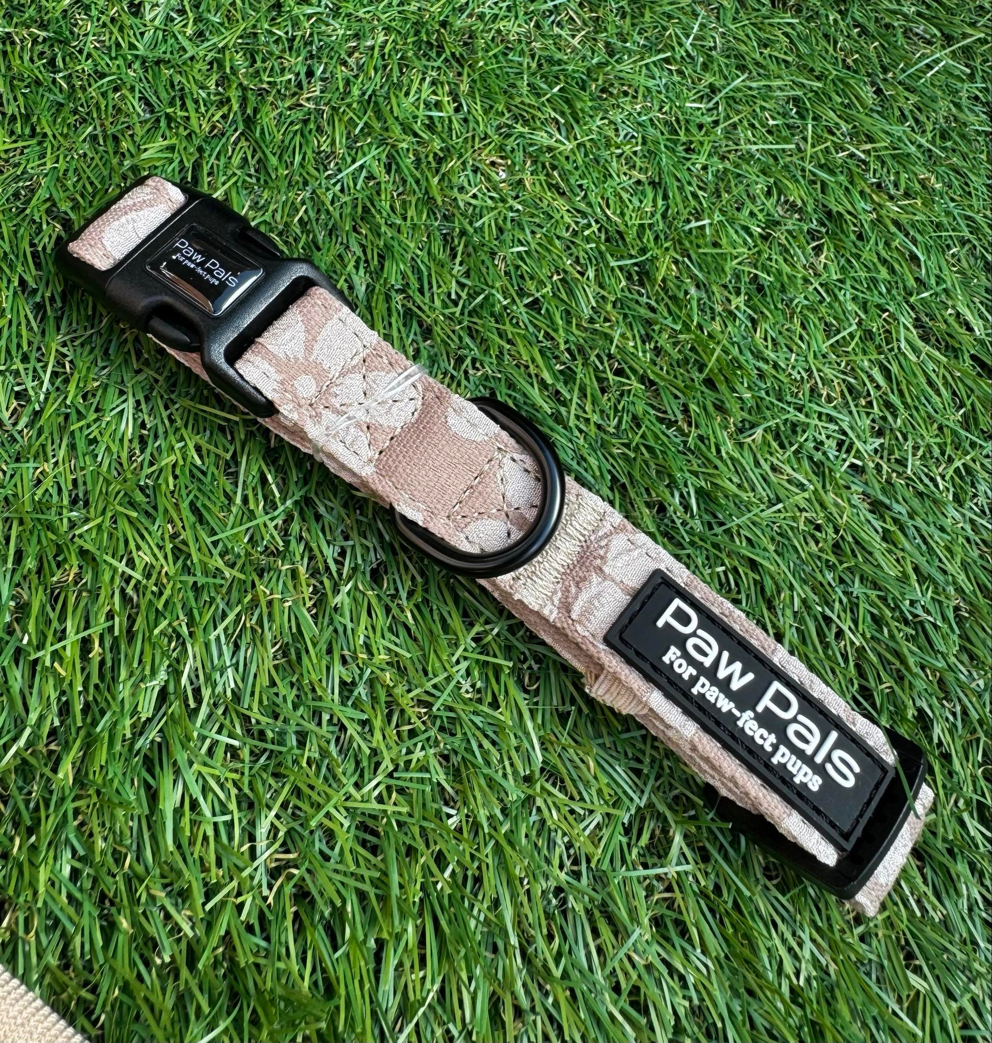 Love You A Latte Collar