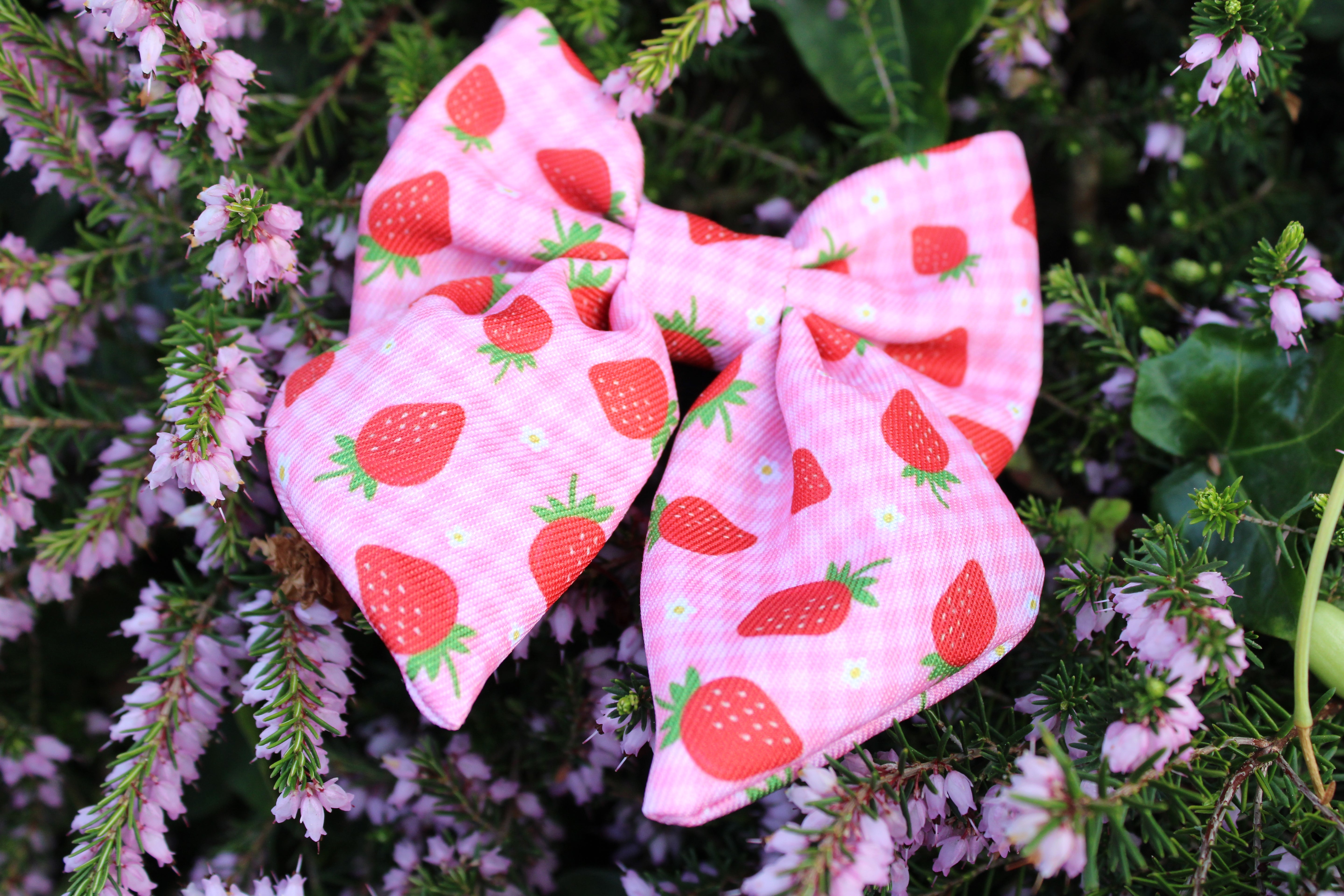 Strawberry Dreams Sailor Bow
