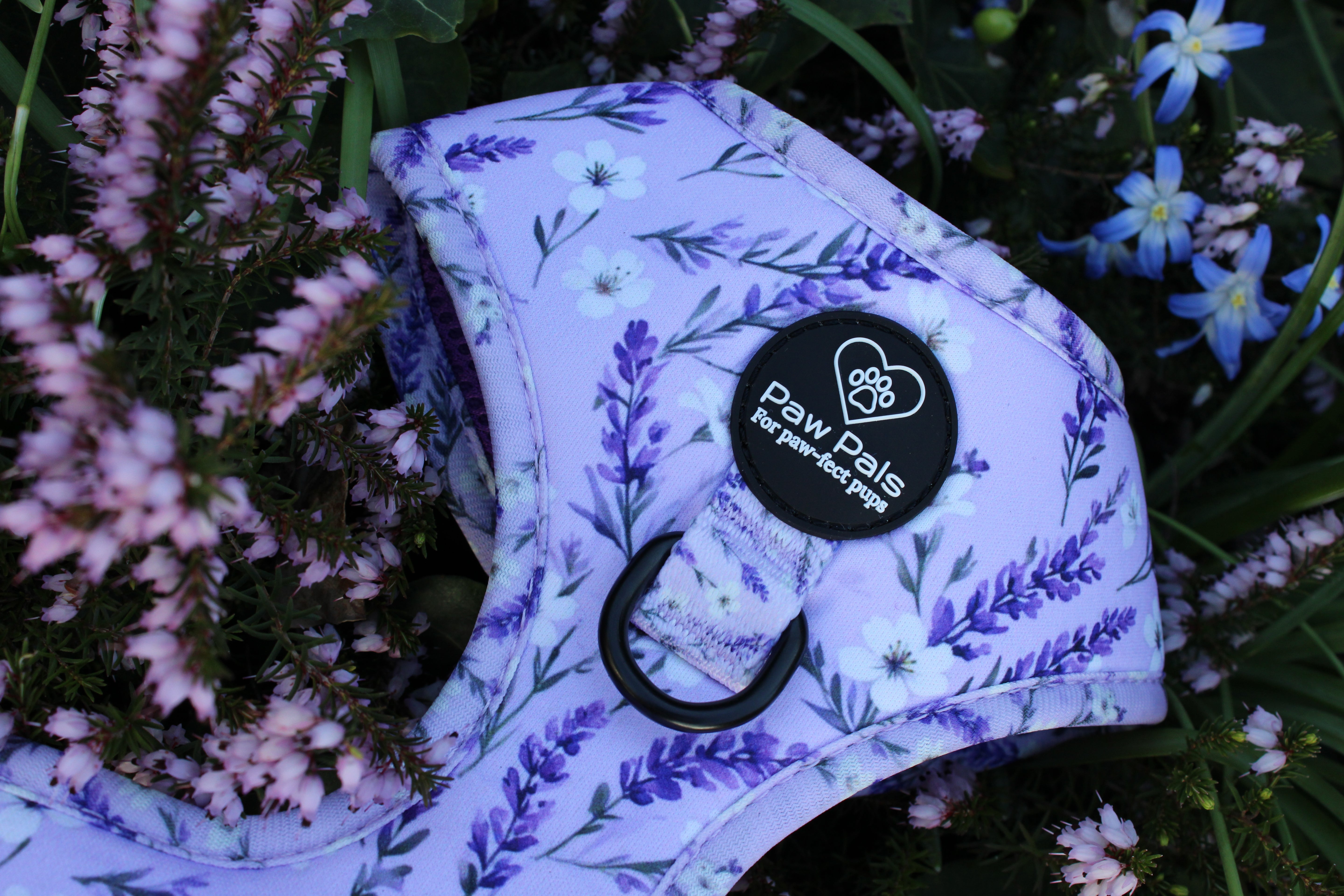 Lavender Fields Harness
