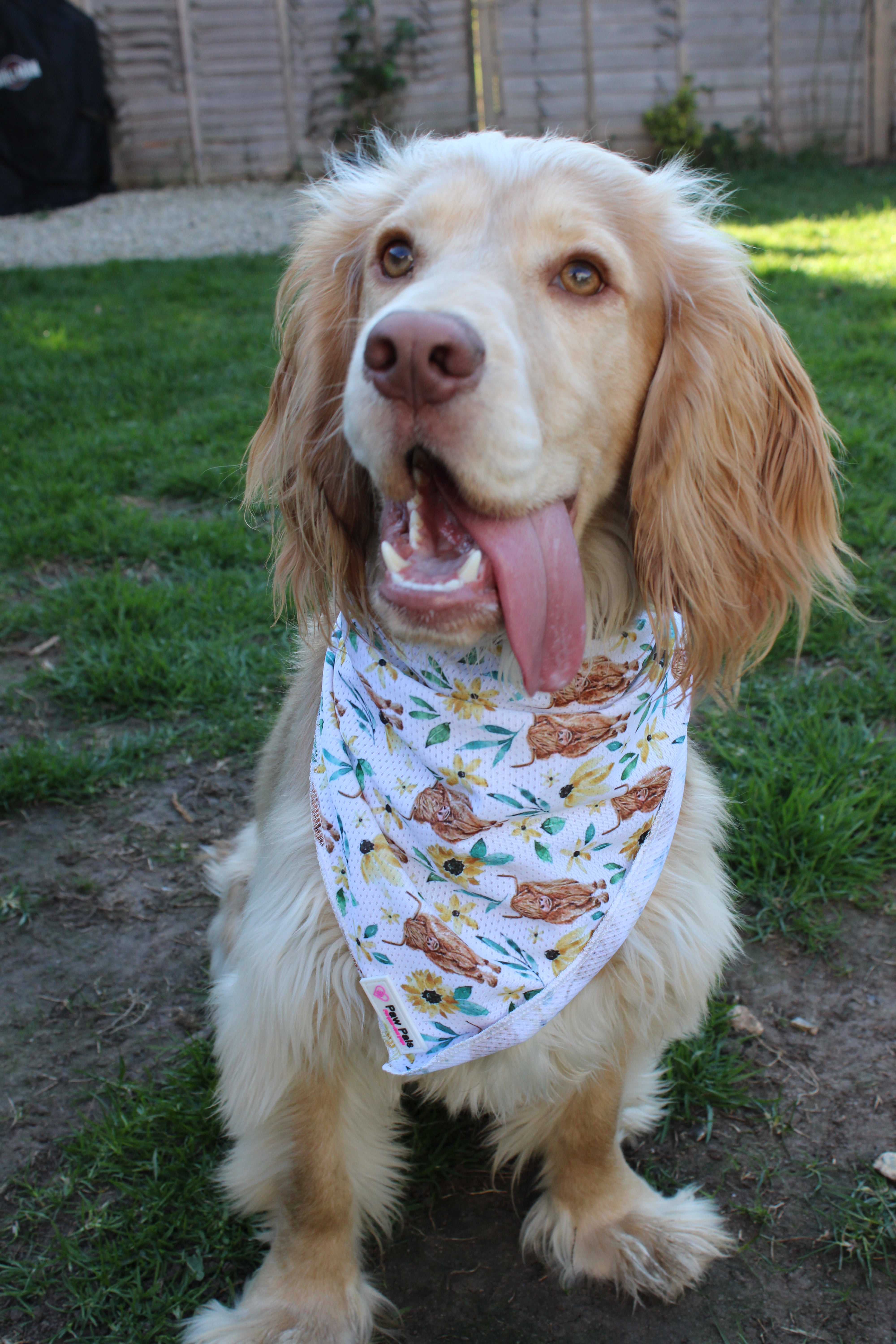 Something Moo Bandana