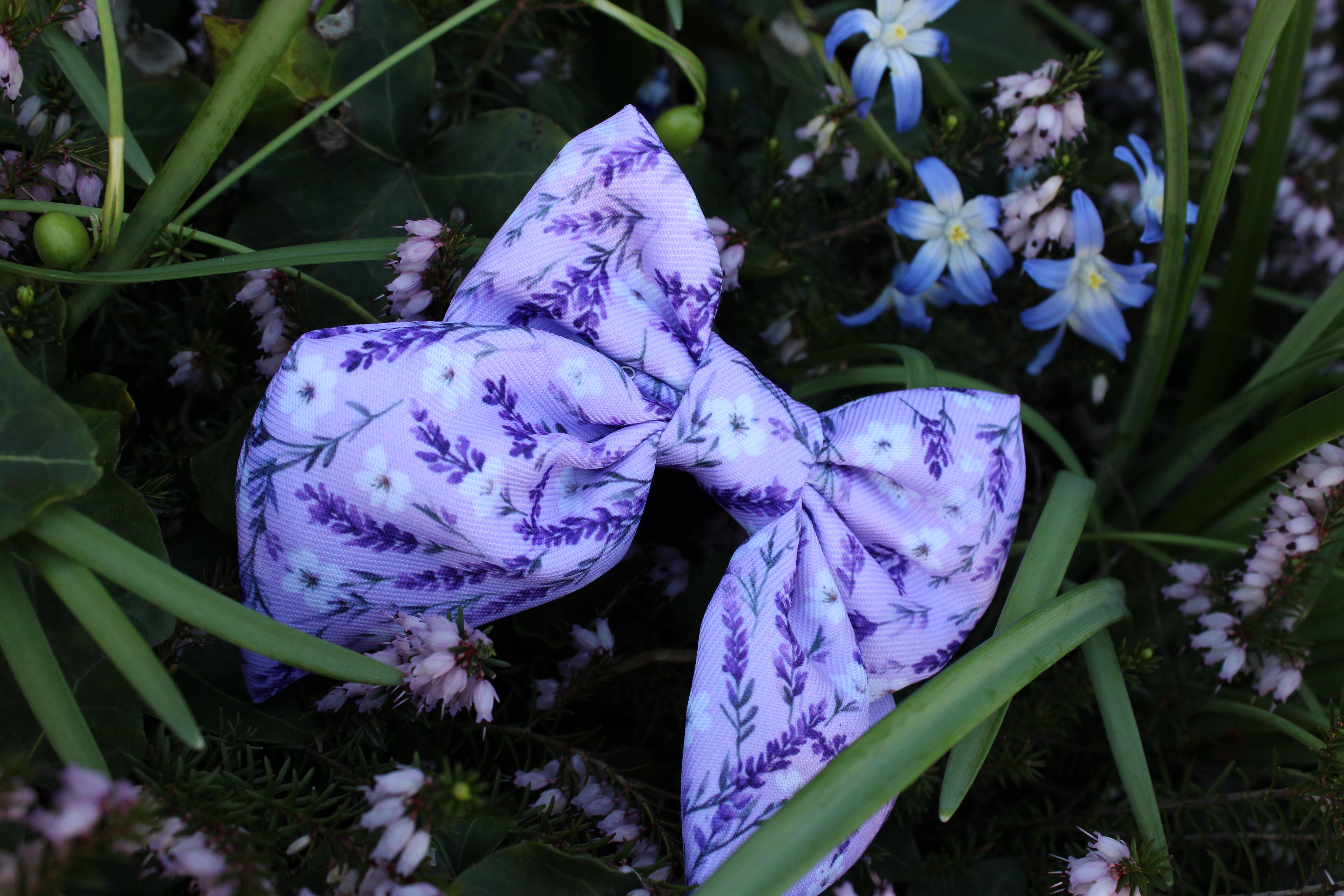 Lavender Fields Bow