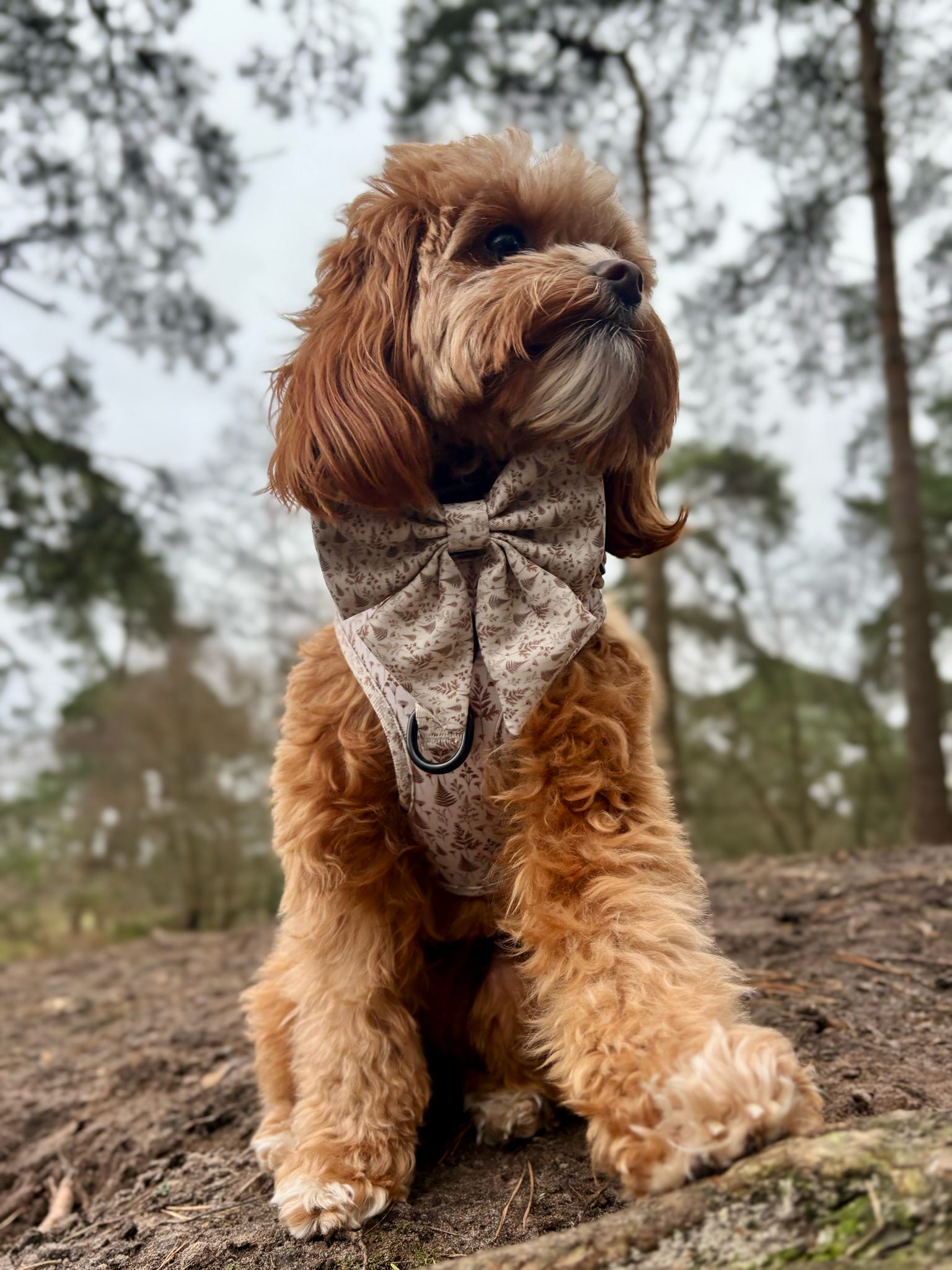 Woodland Willows Adjustable Harness