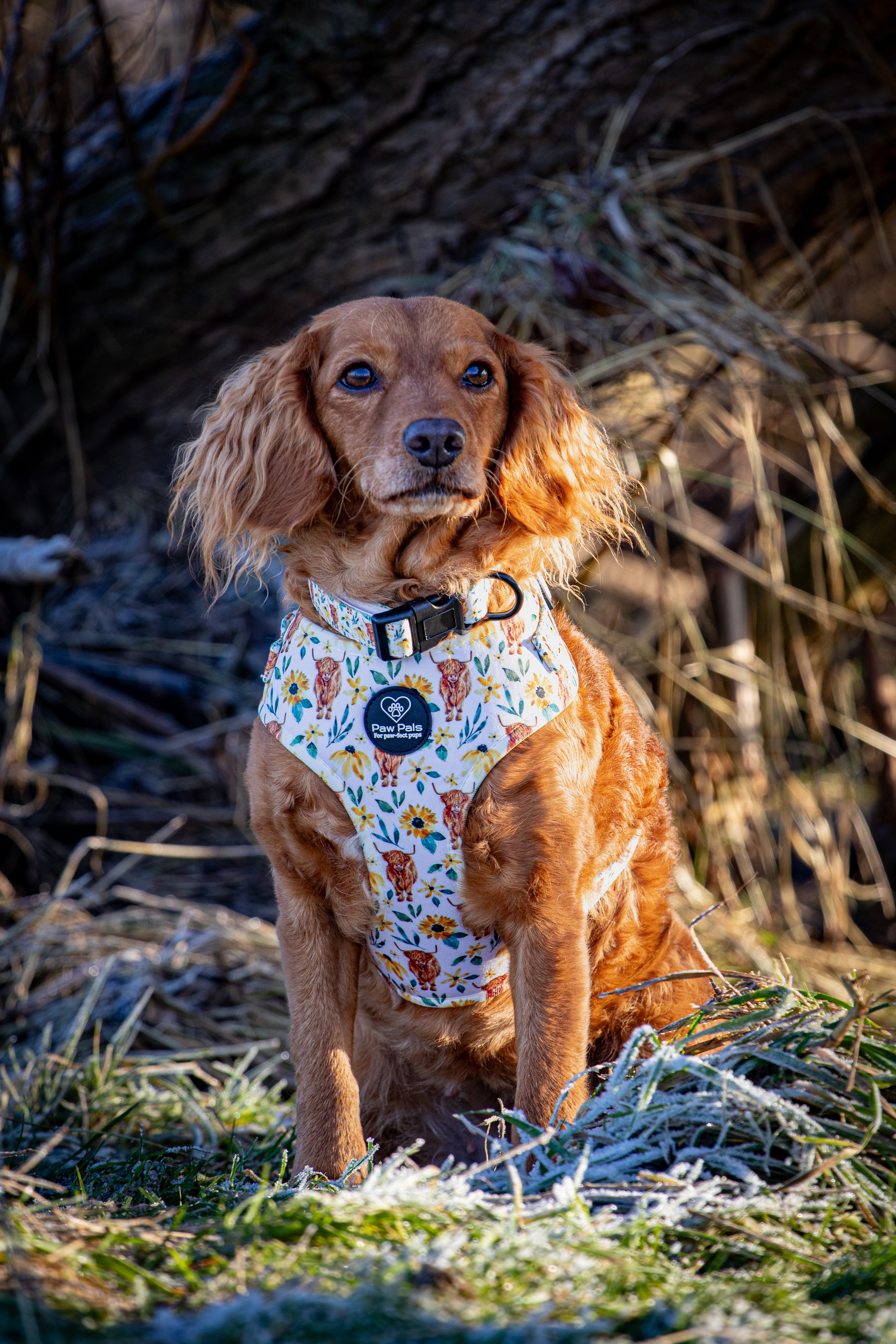 Something Moo Collar