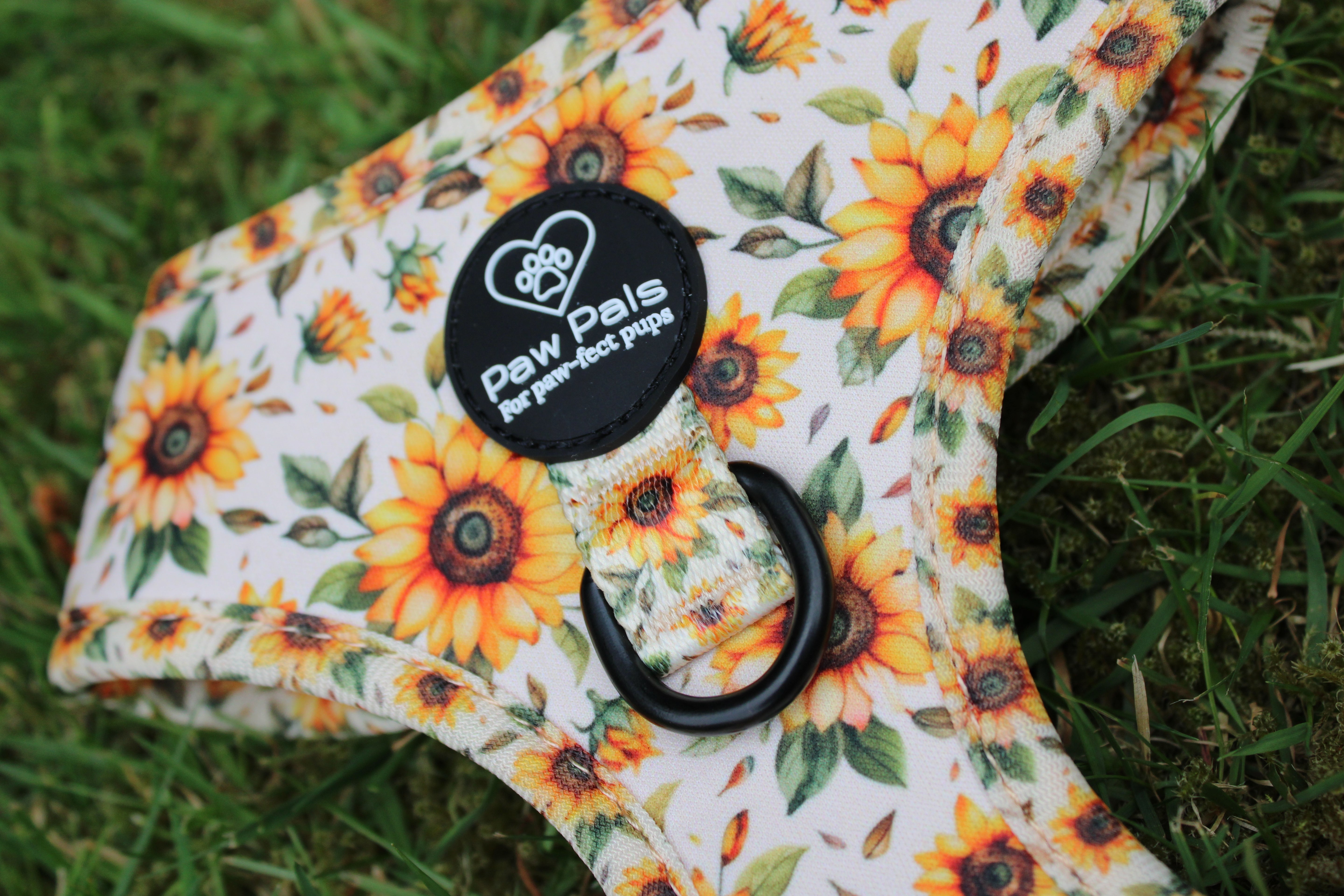 You’re My Sunflower Harness