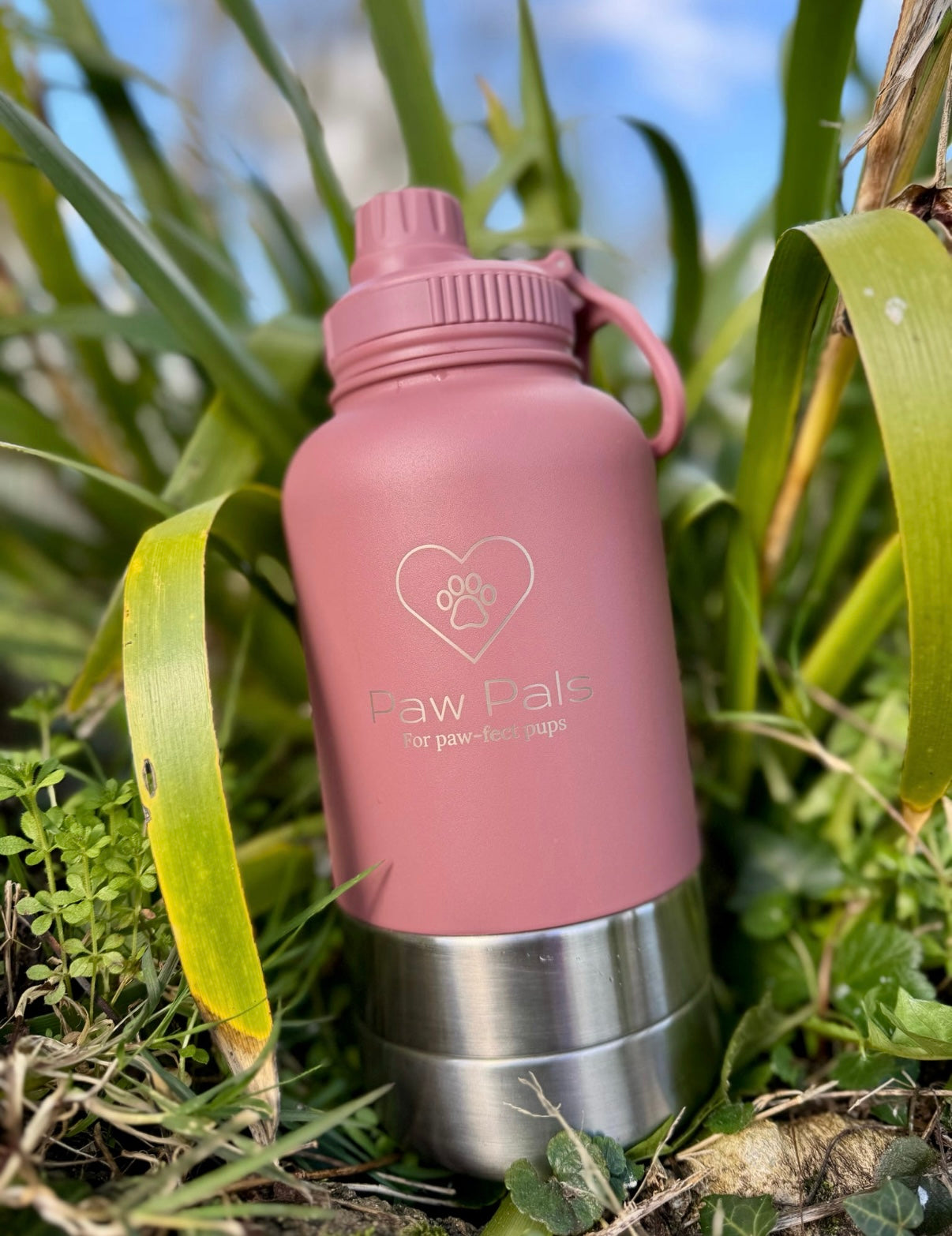 Rose Pink Walkies Bottle