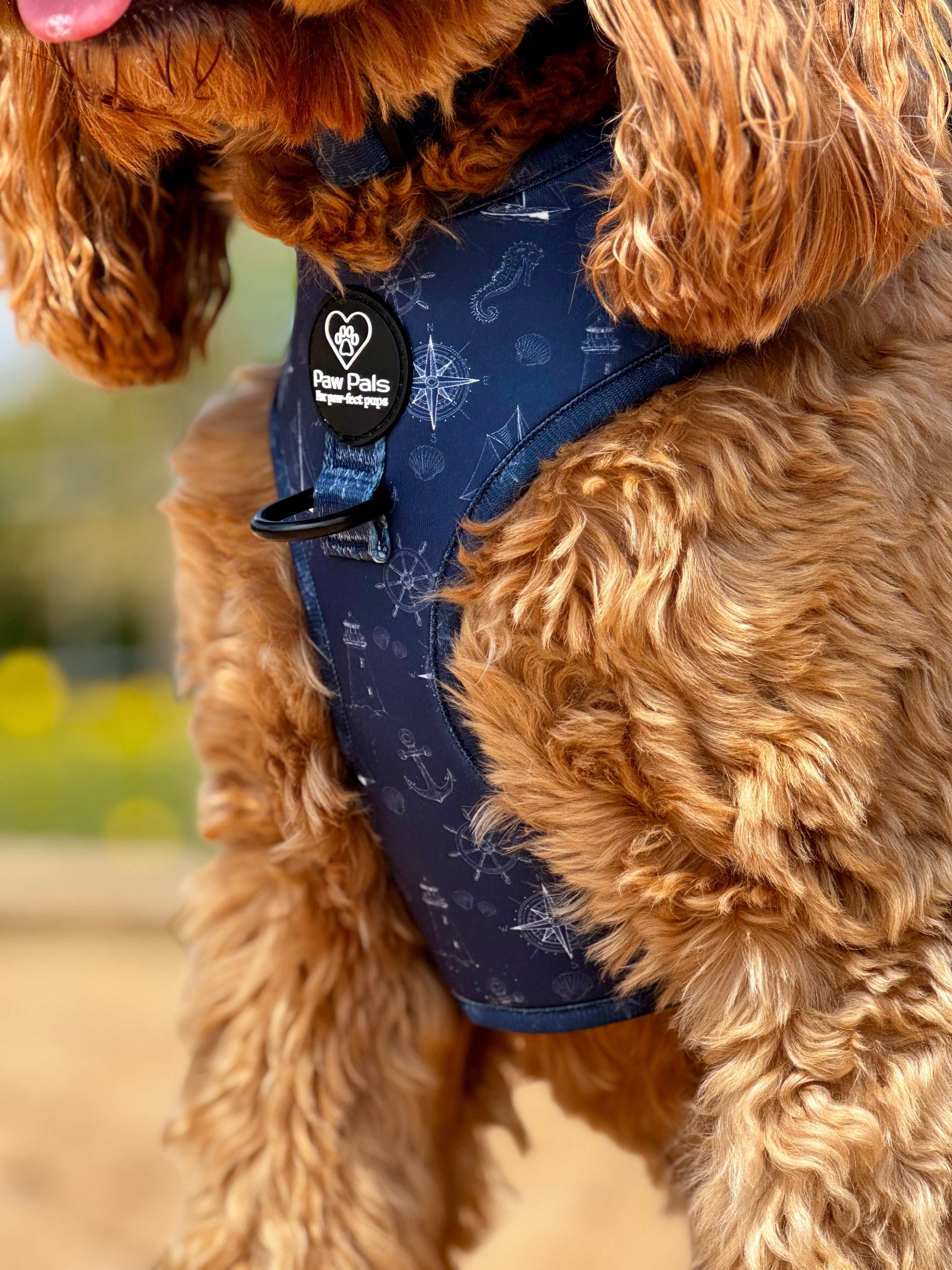 Paws On Deck Harness