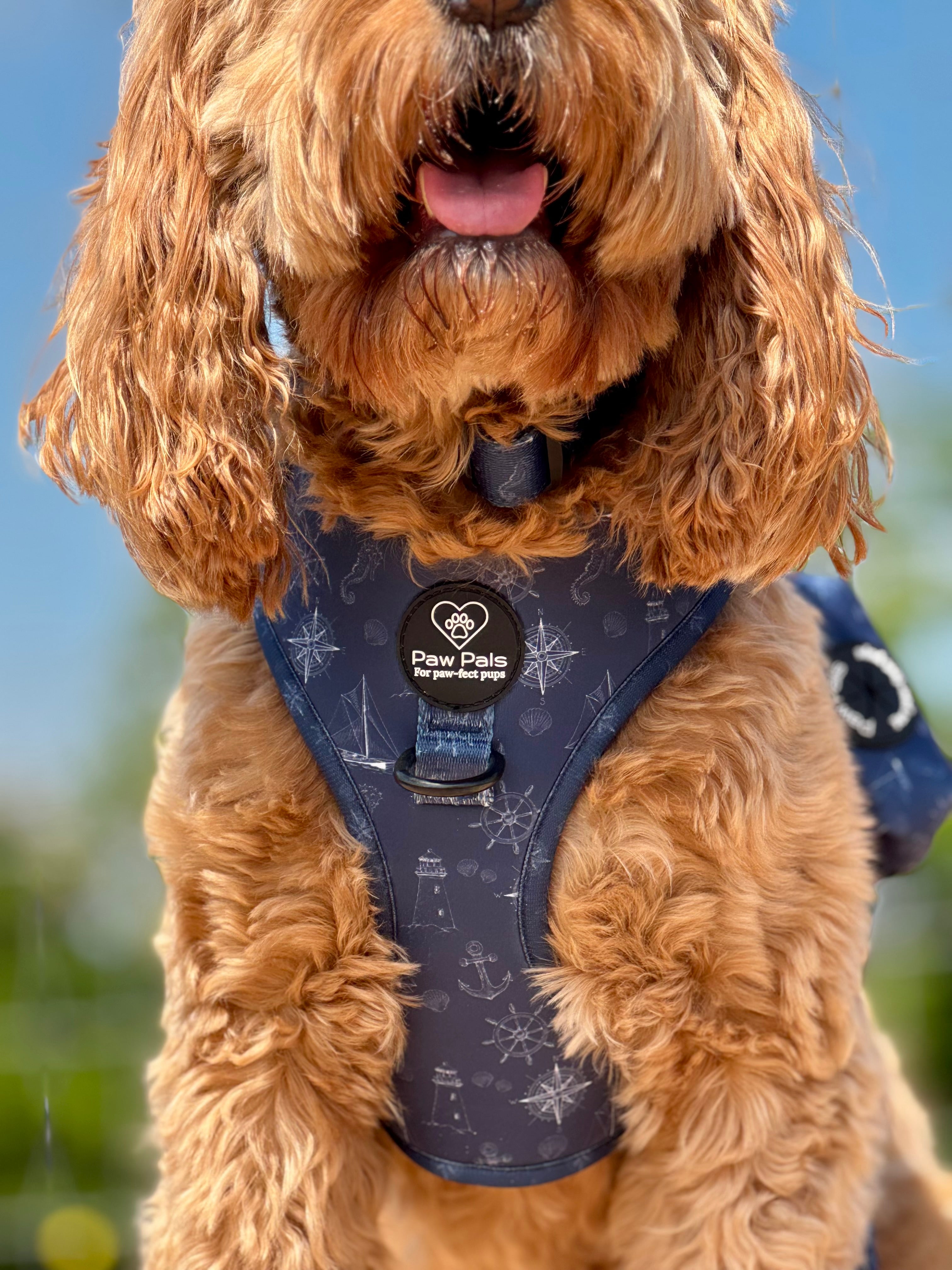 Paws On Deck Harness