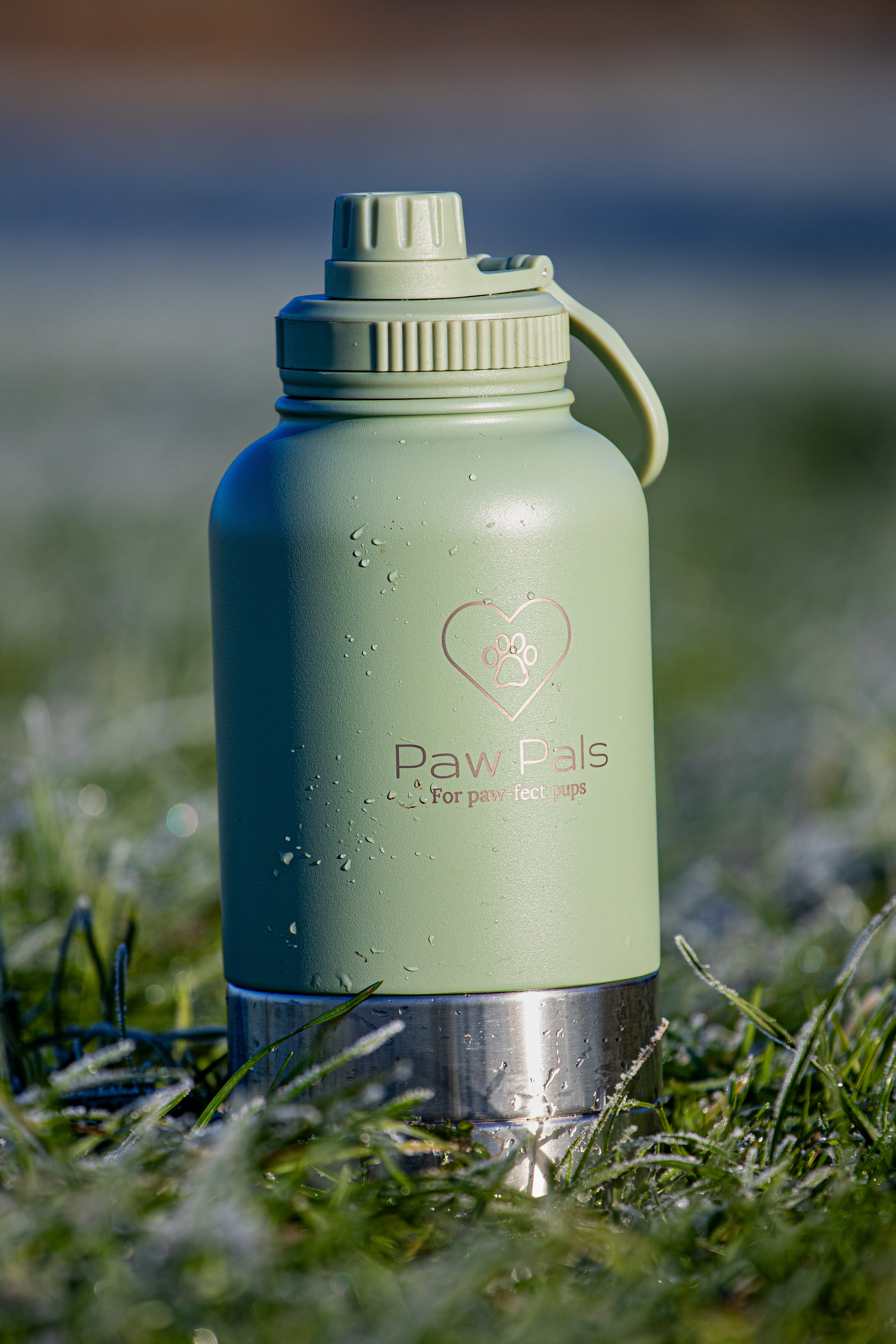 Sage Green Walkies Bottle