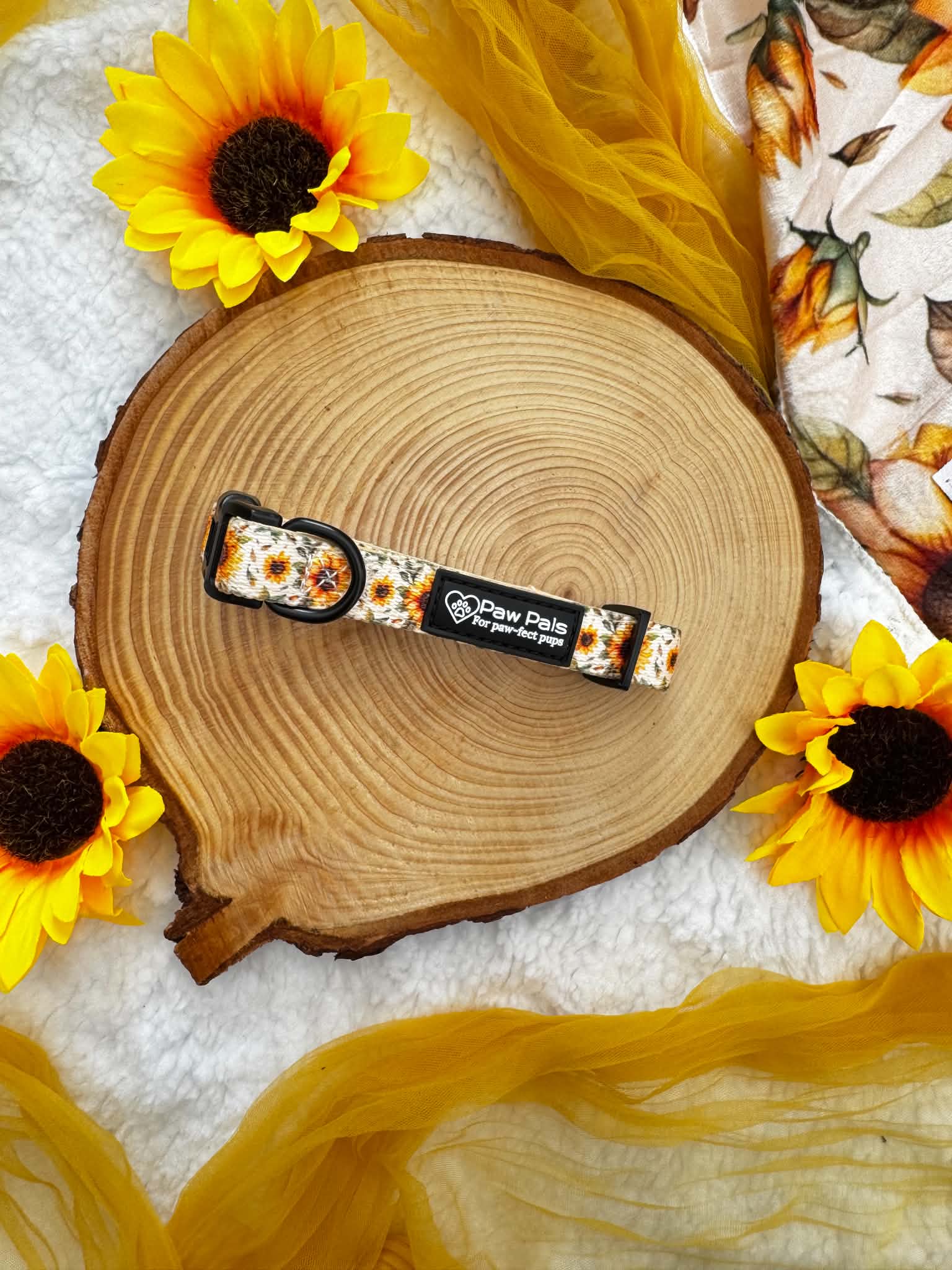 You’re My Sunflower Collar