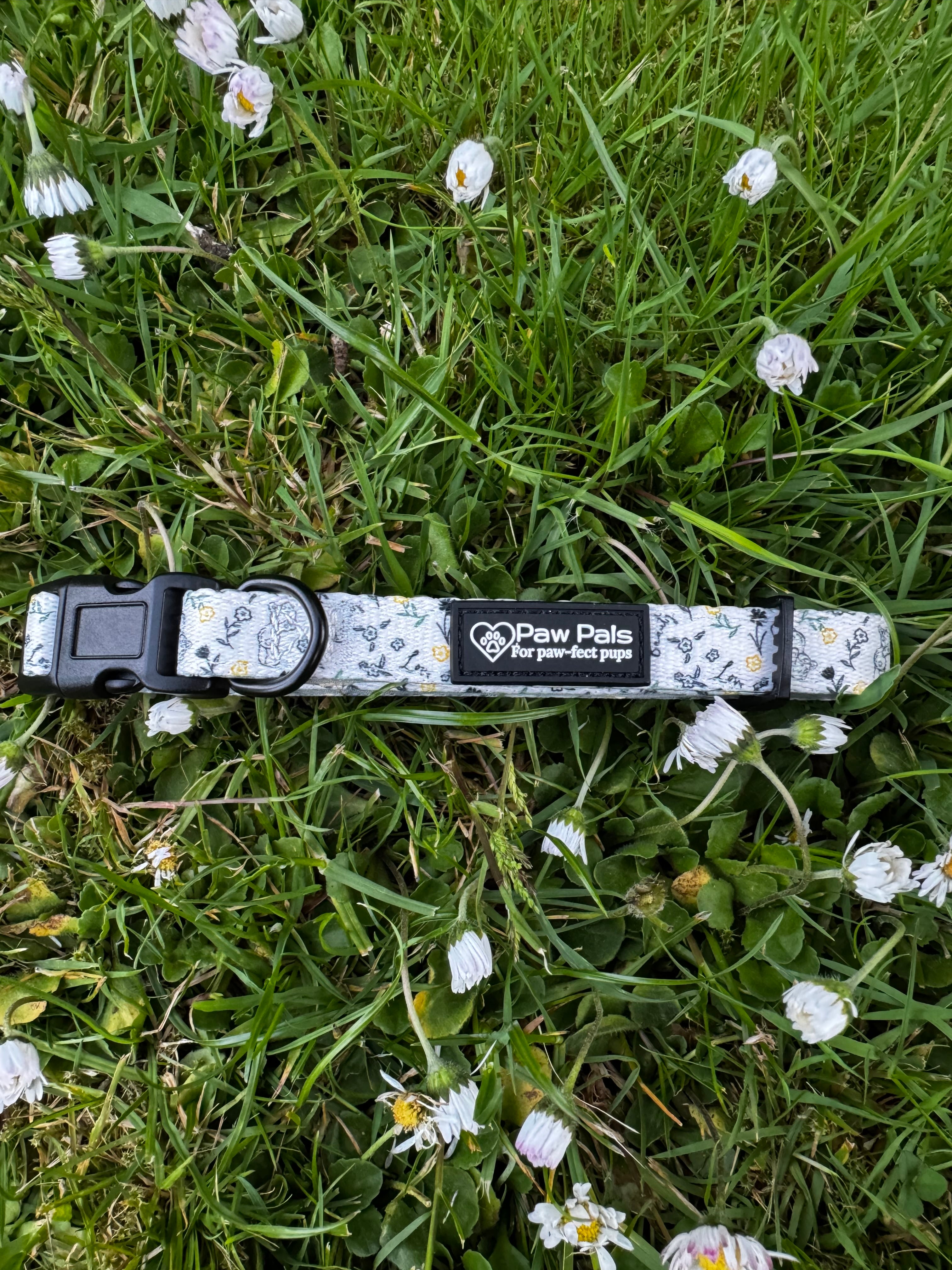Tatty Teddy Springs Collar
