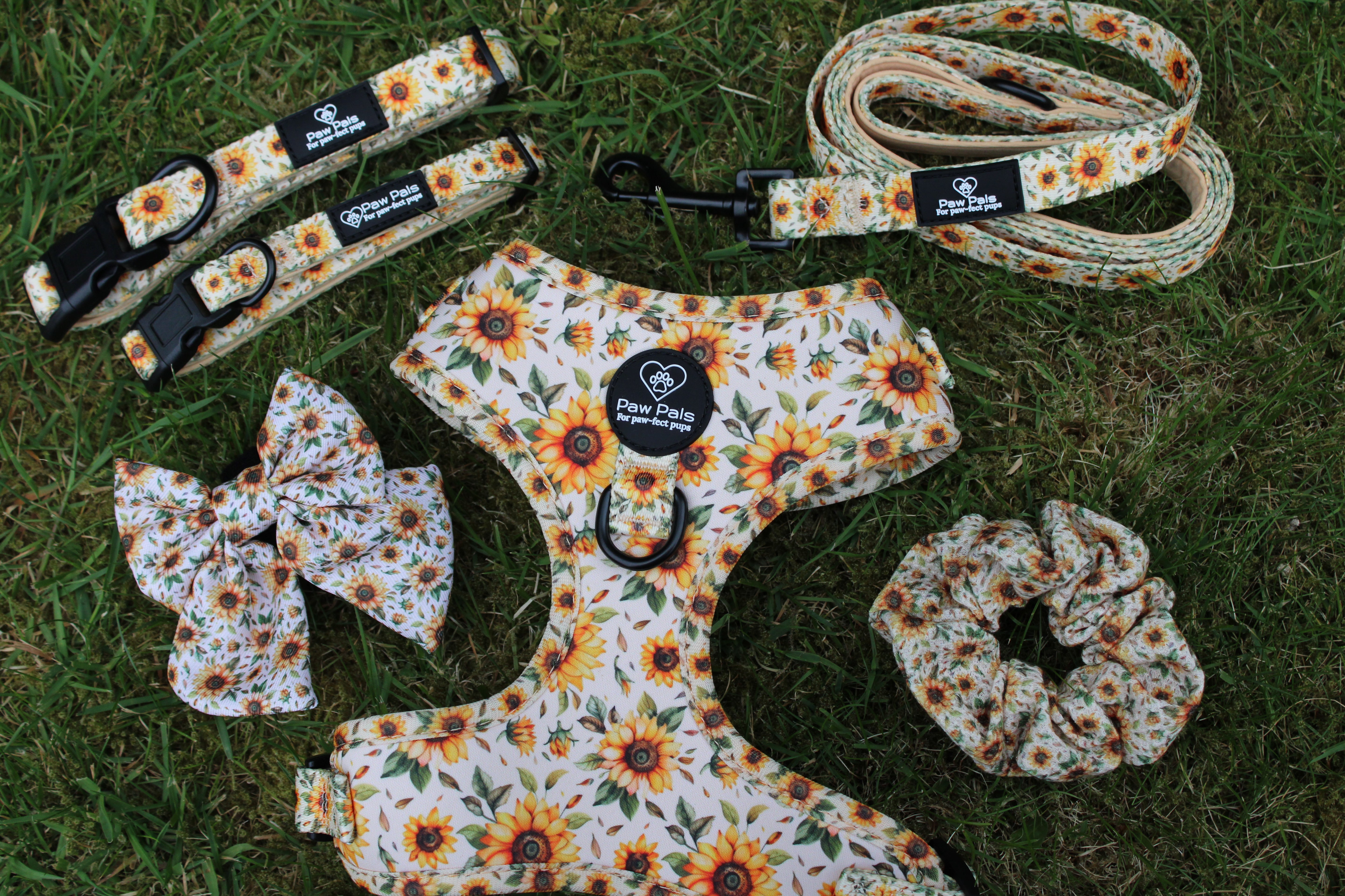 You’re My Sunflower Harness