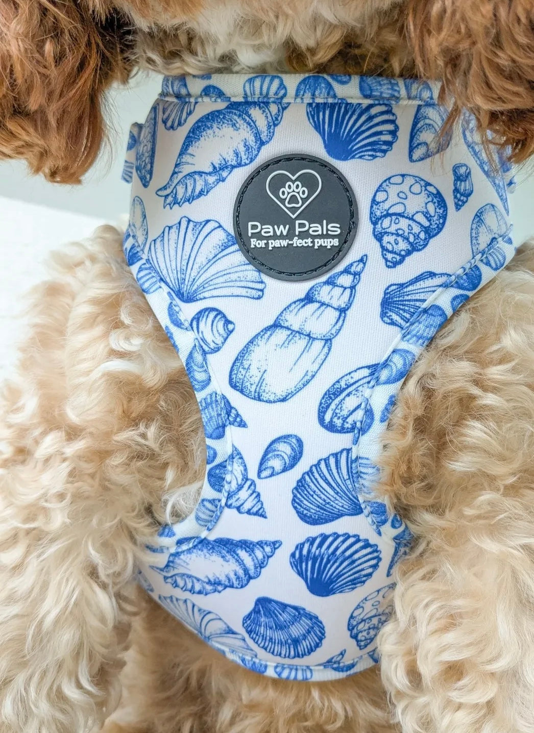 Ocean Shells Harness