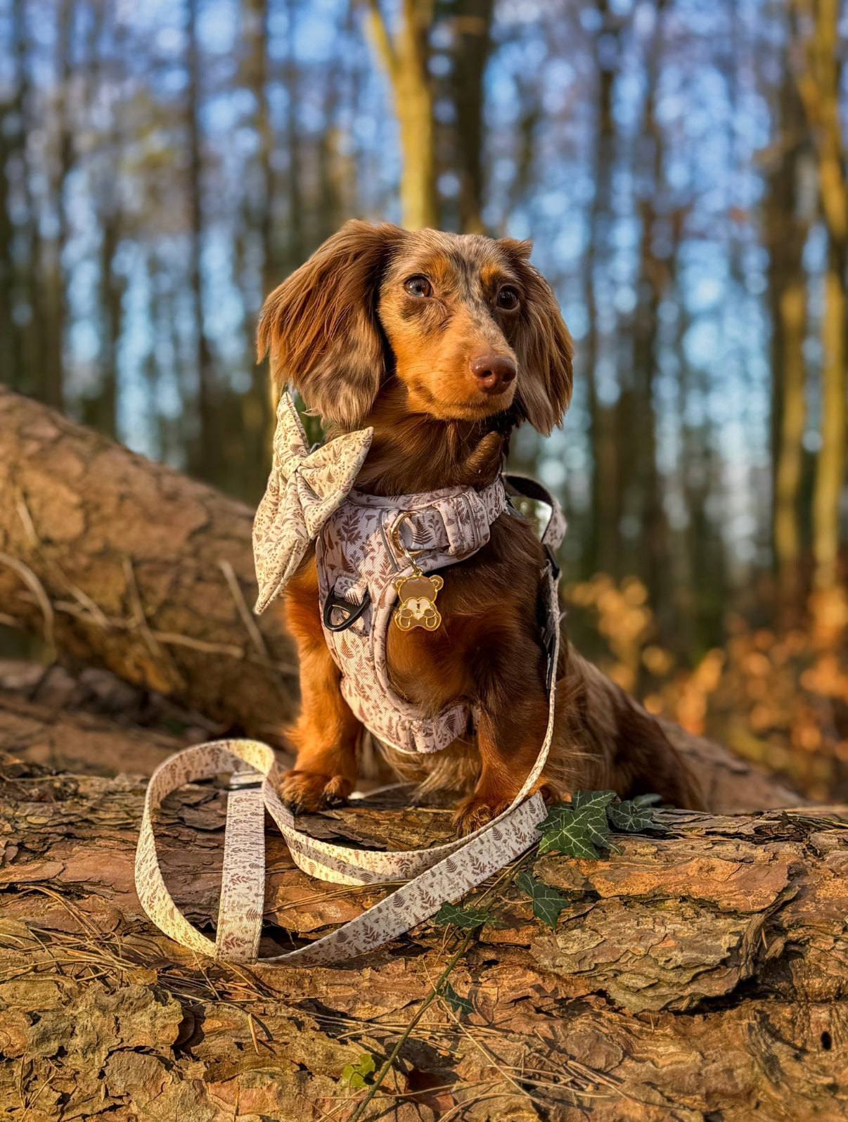 Woodland Willows PawpalsPro Harness