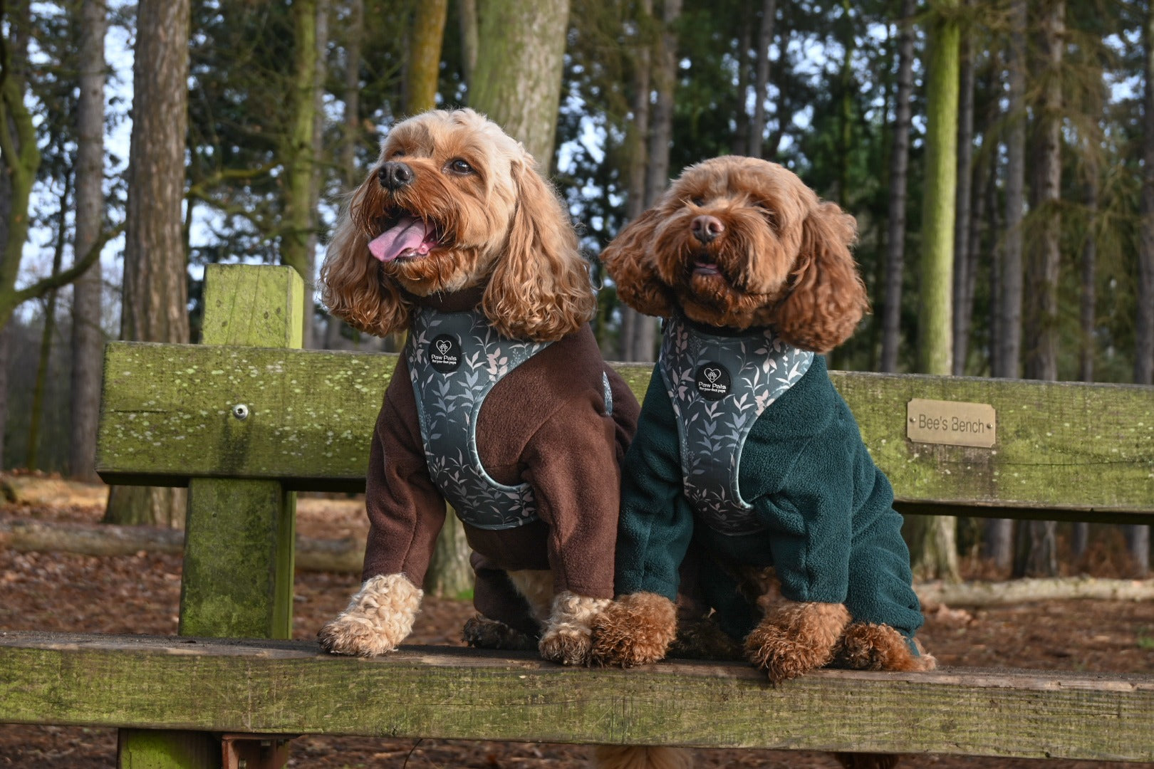 Spring Leaves Harness