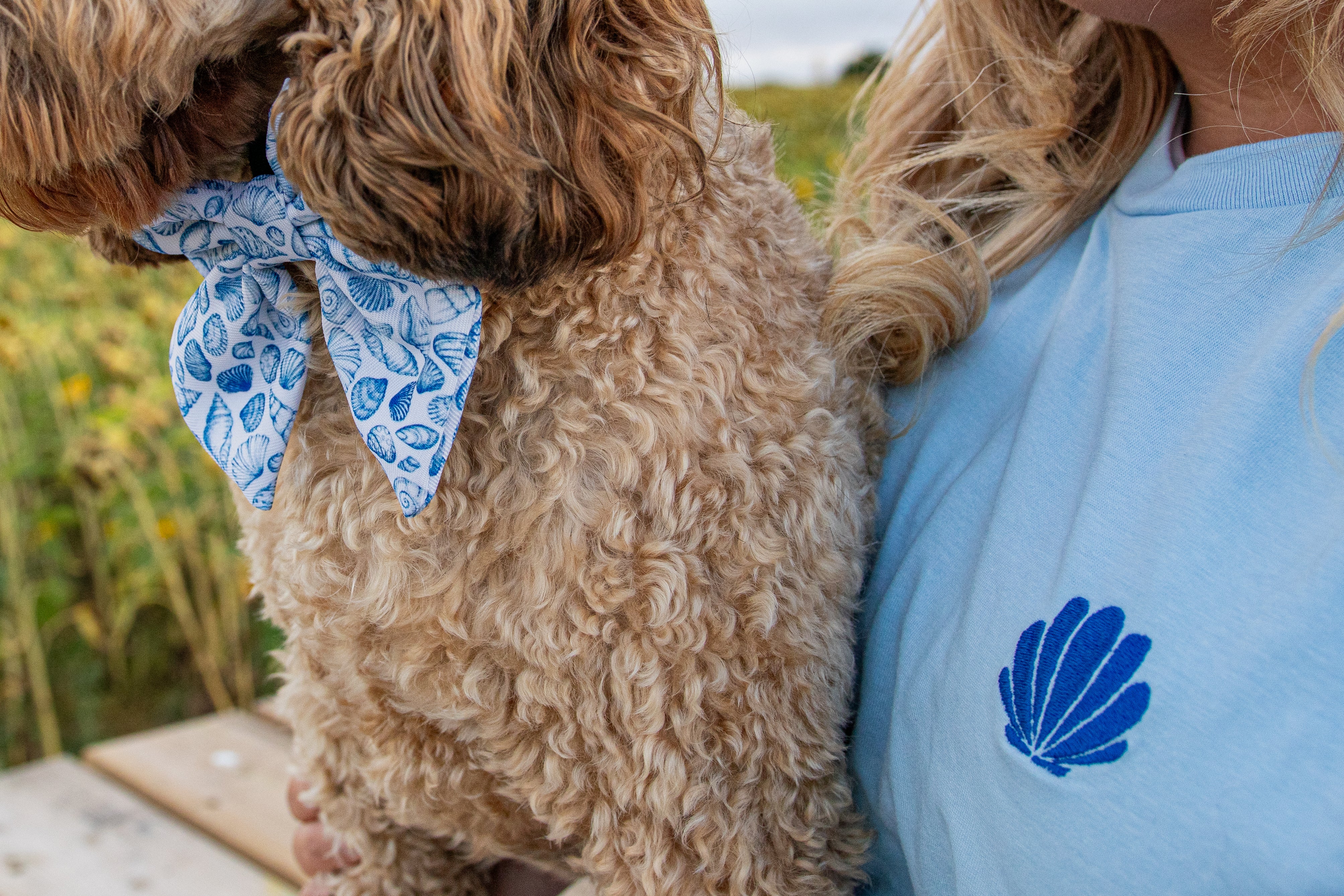 Summer T-Shirt’s