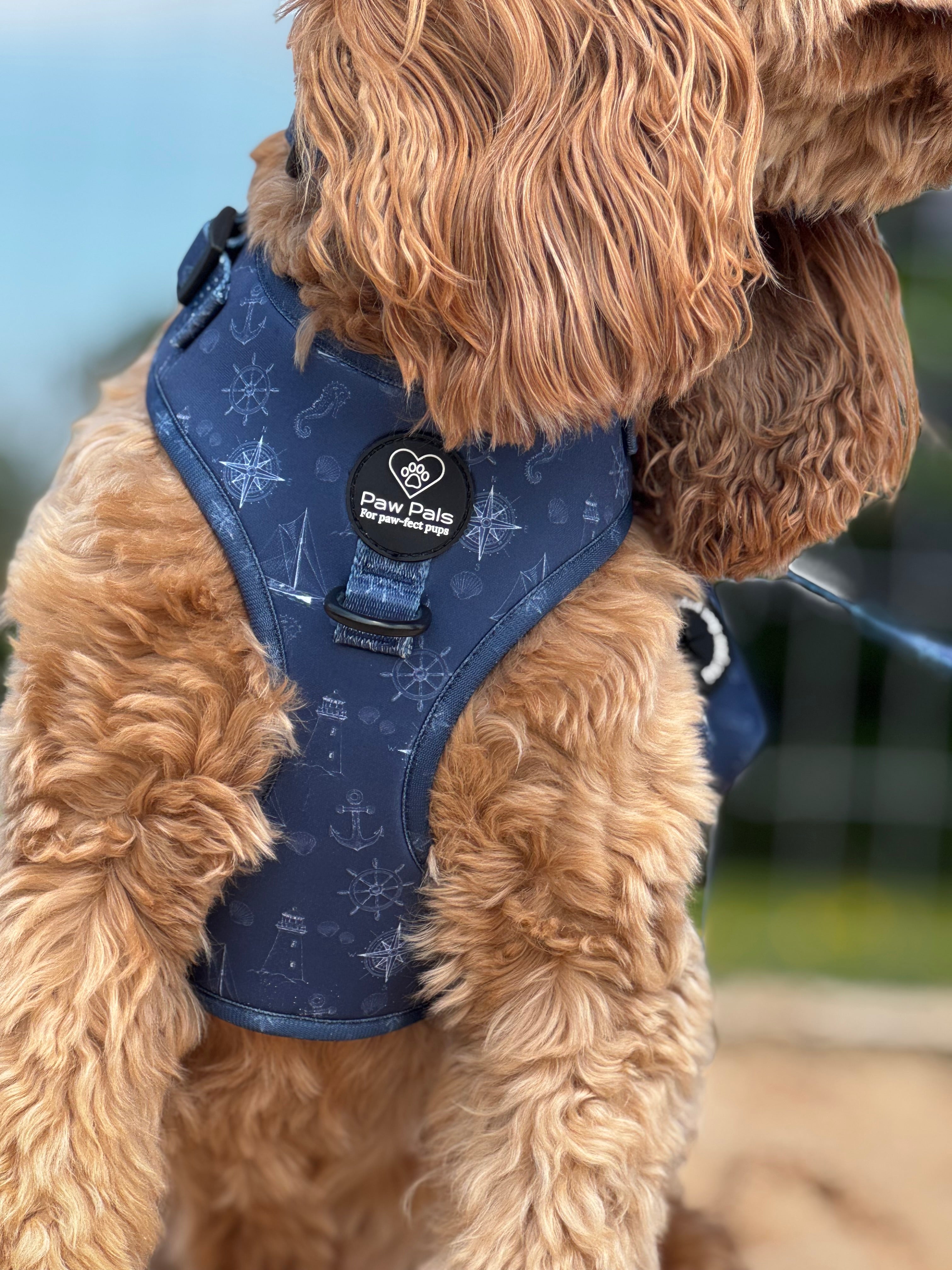 Paws On Deck Harness
