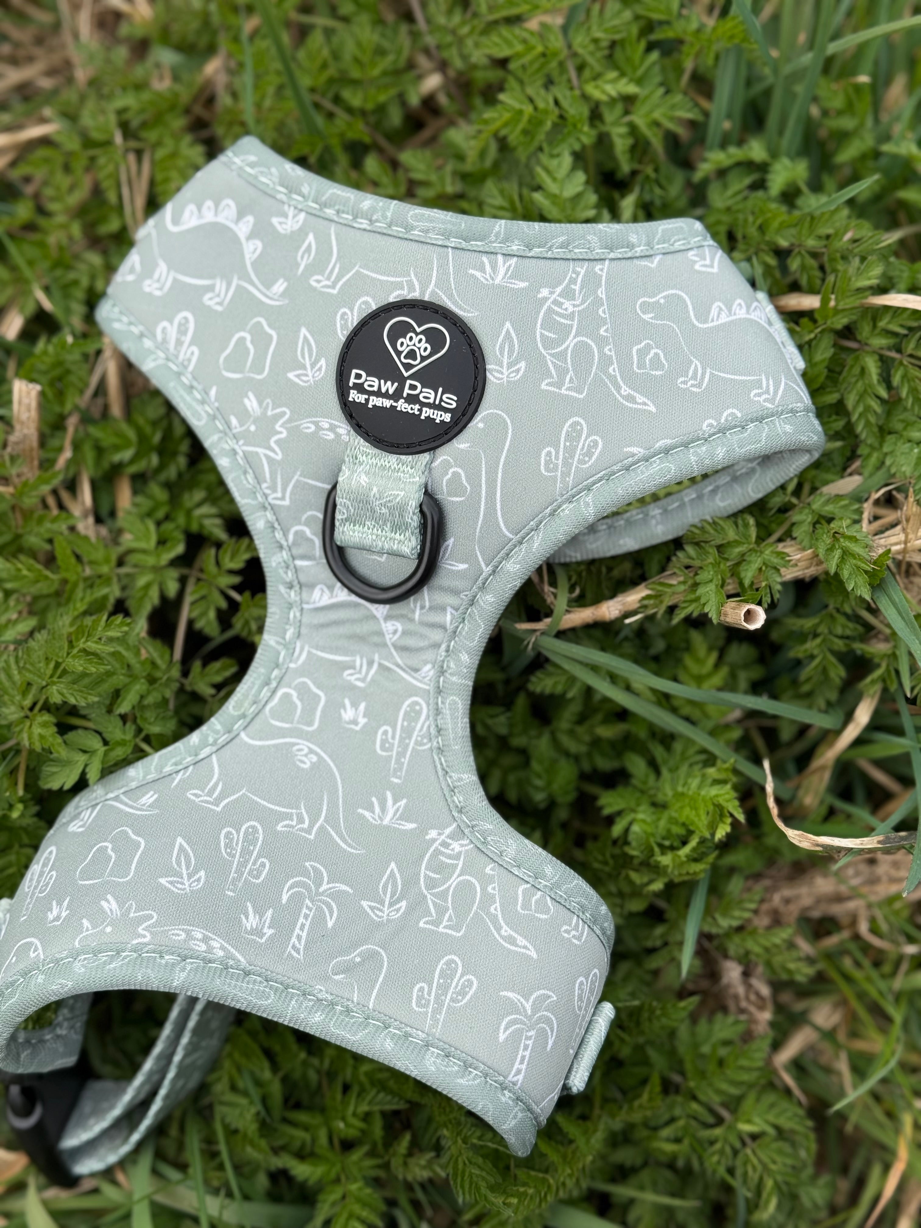 Dino Paws Harness