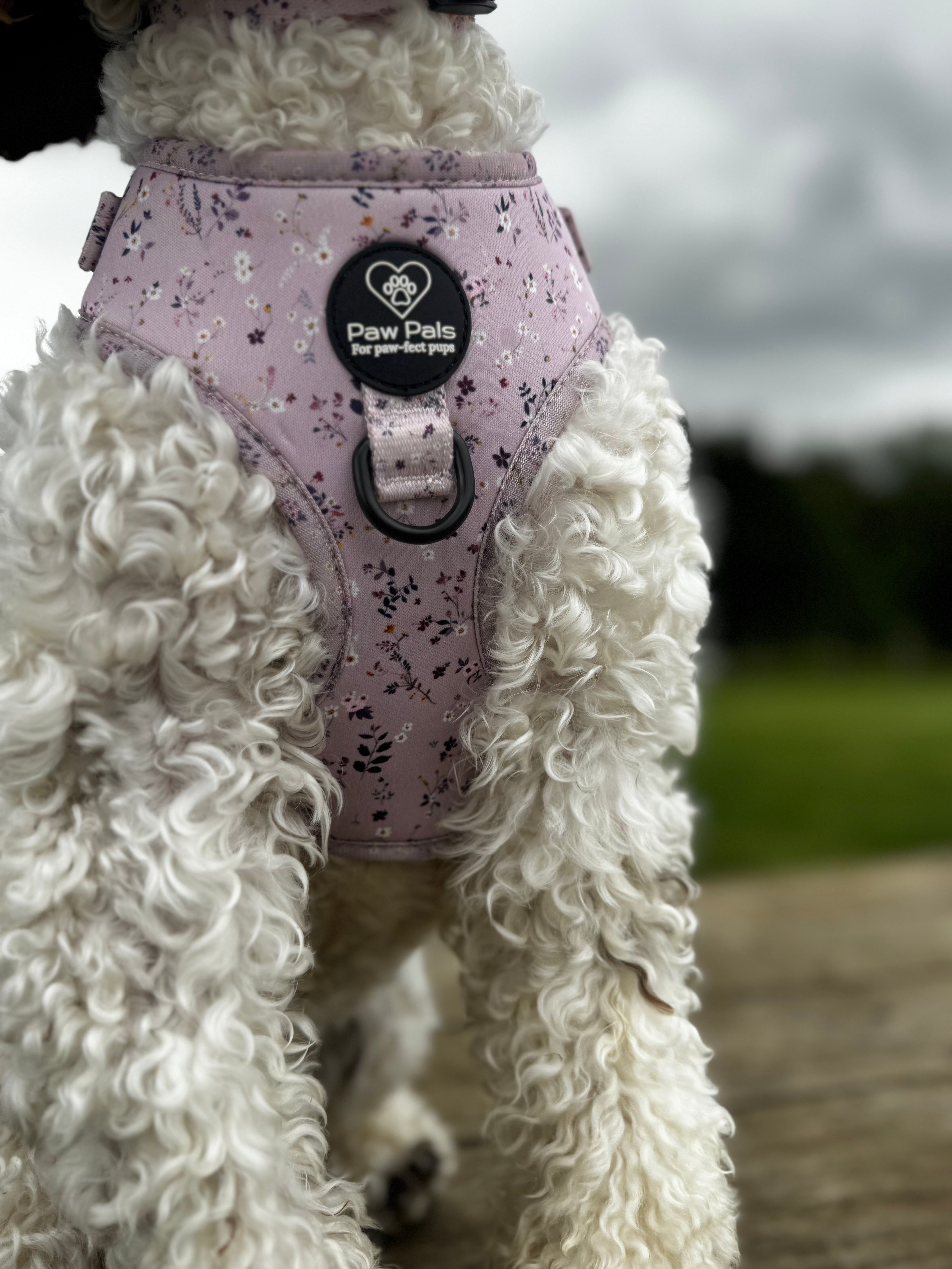 Blush & Bloom Harness