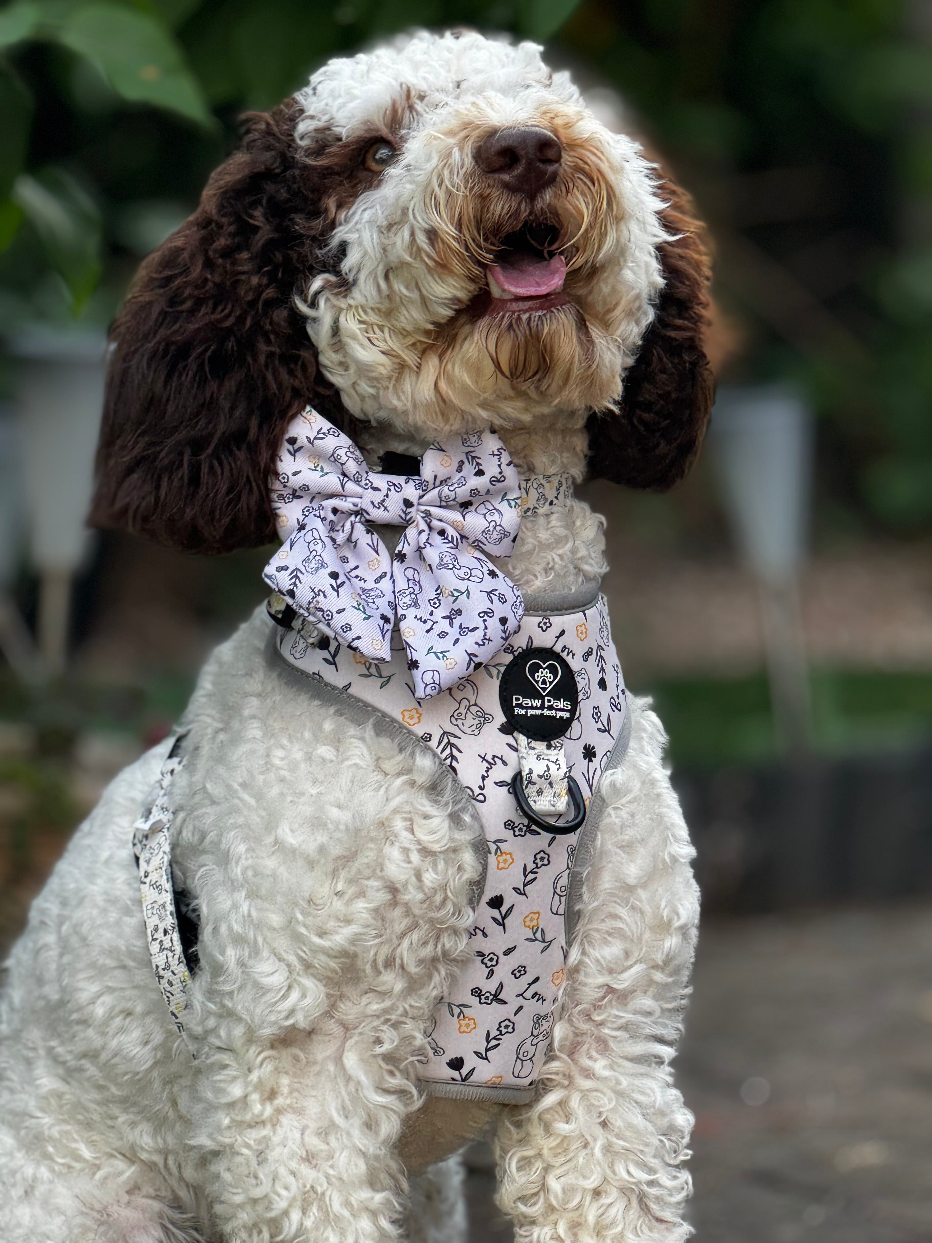 Tatty Teddy Springs Harness