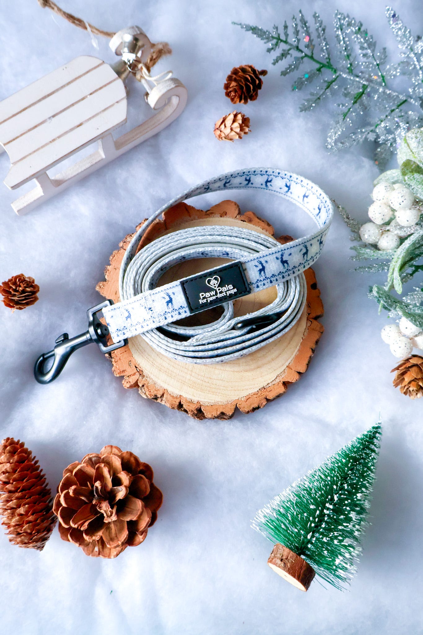 Winter Wonderland Leash