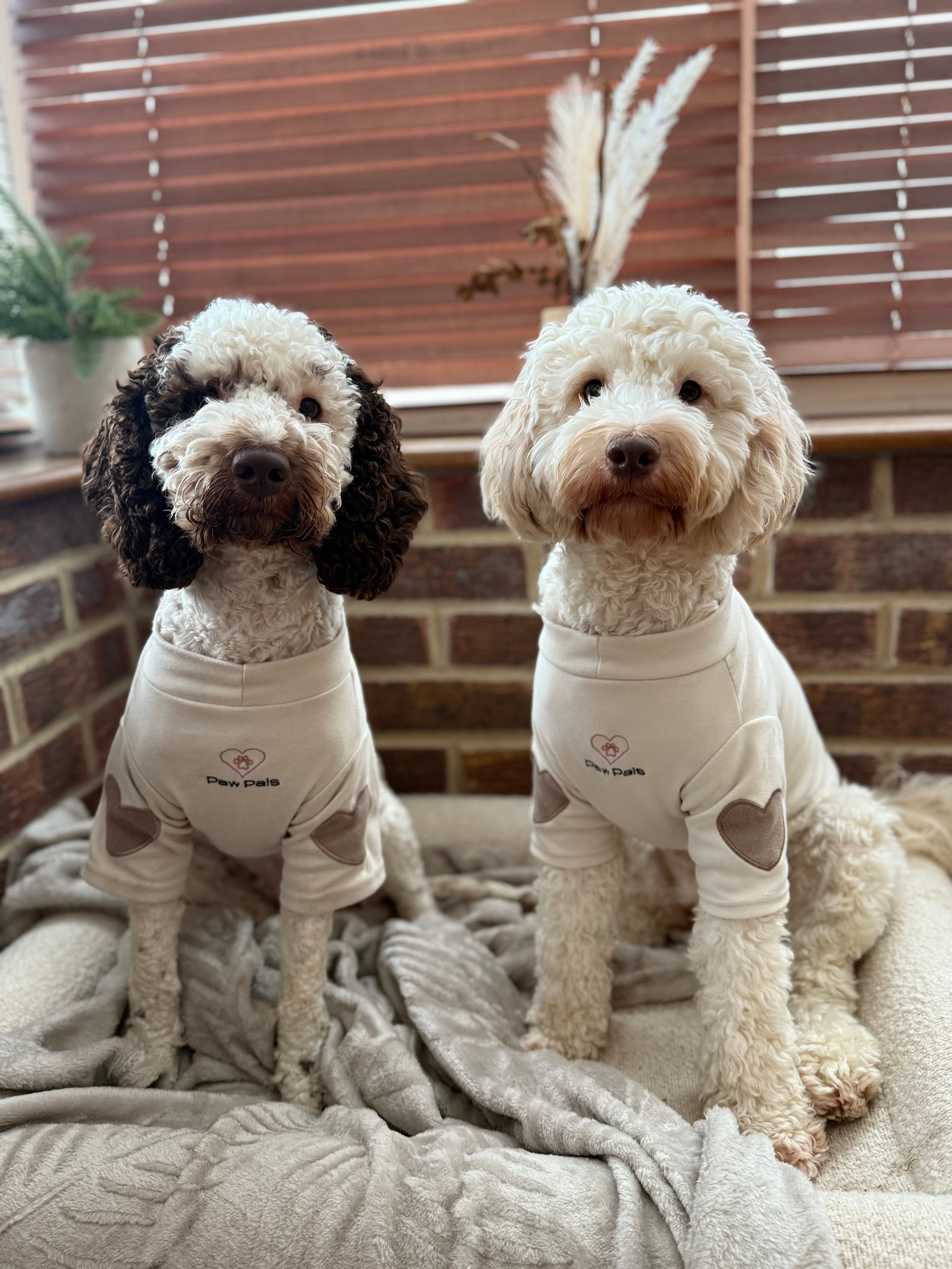 Puppy Love Cream Jumper