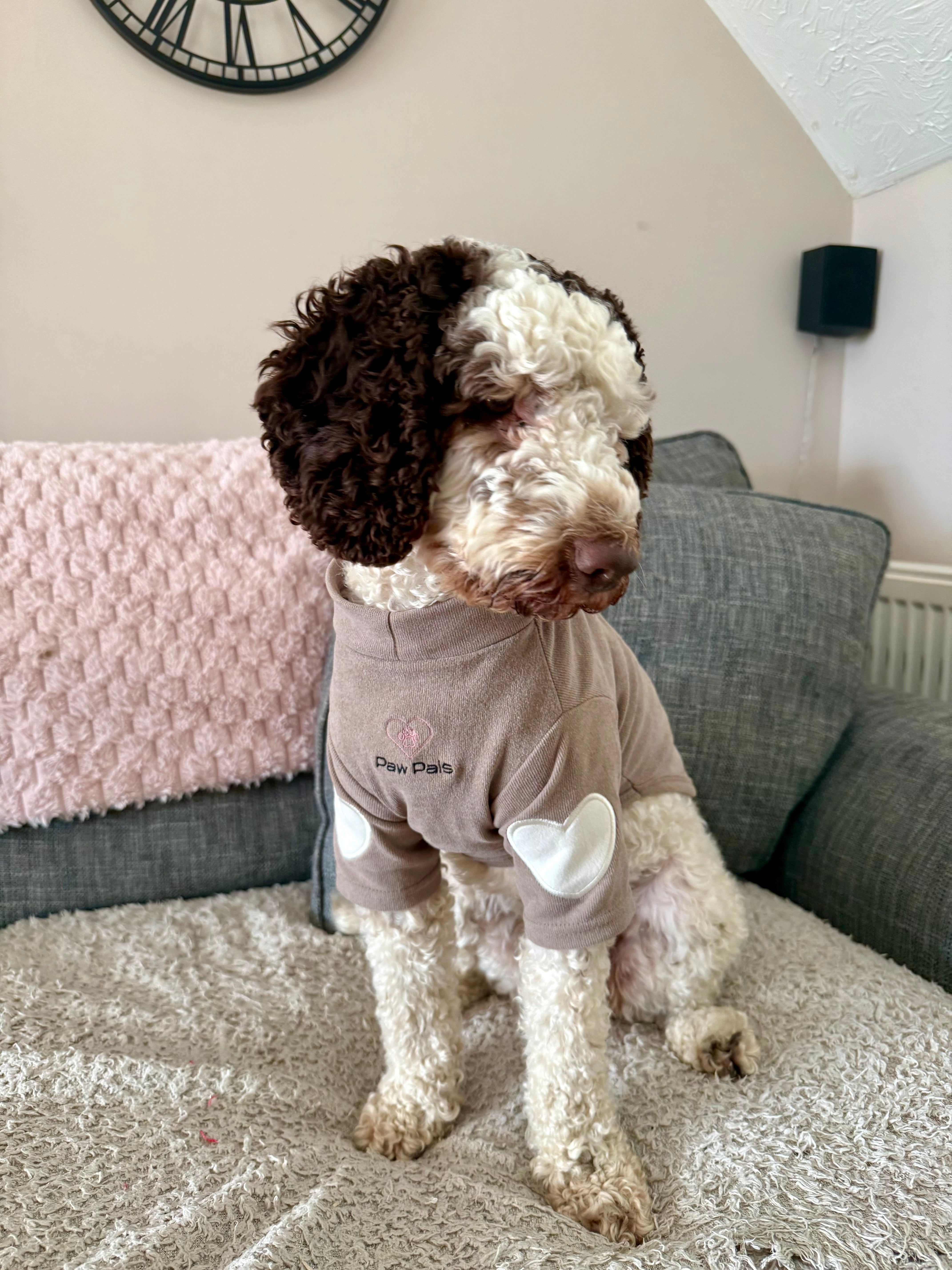 Puppy Love Mocha Jumper